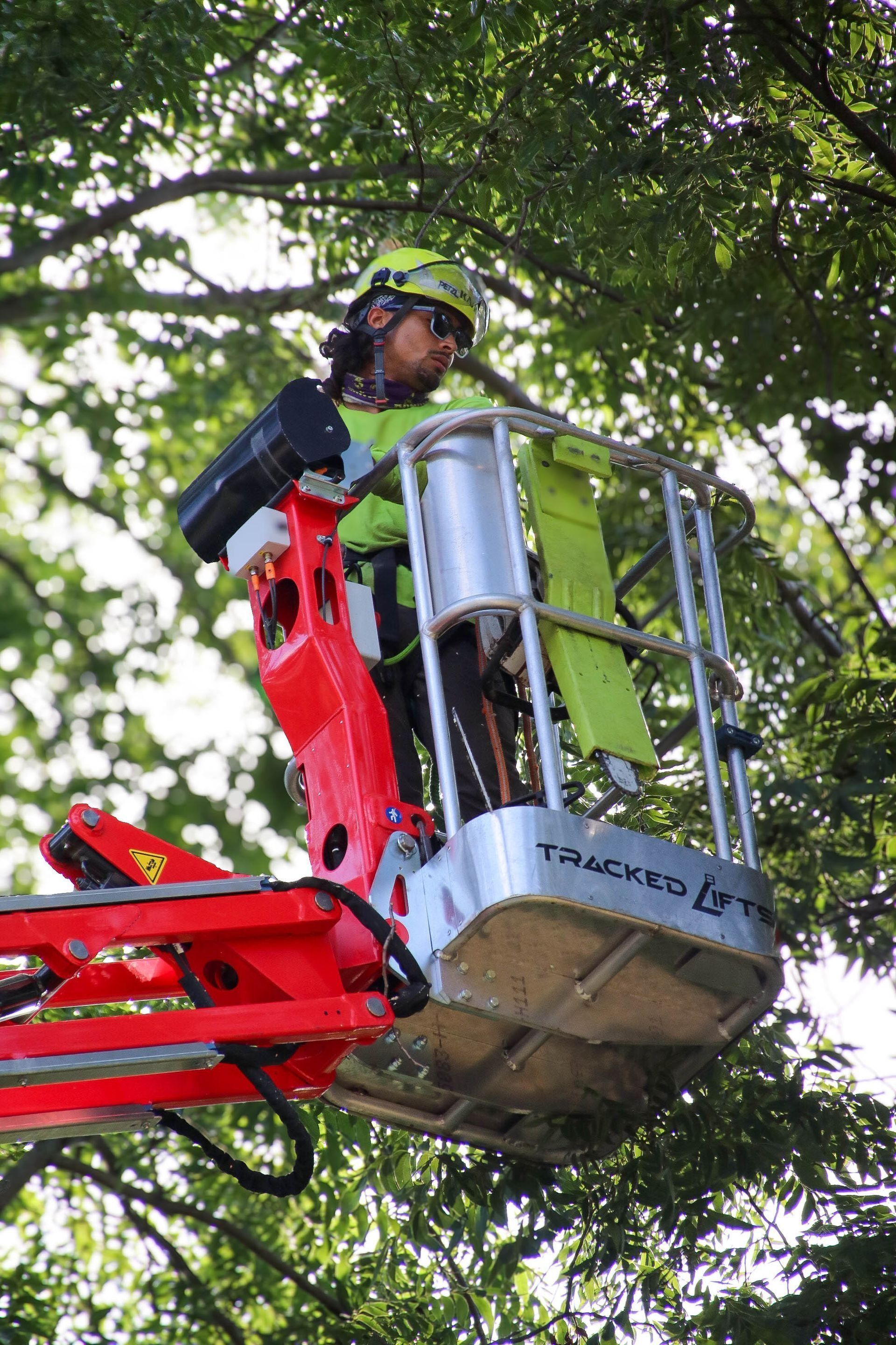 Person in a lift basket pruning tree branches. Wearing safety gear. Bright green and red equipment.