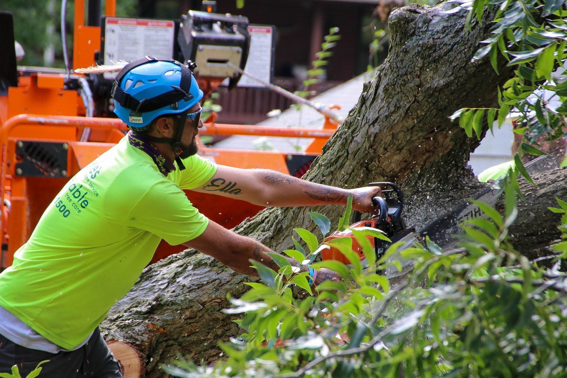 Man in blue helmet uses a chainsaw on a tree trunk near an orange wood chipper.
