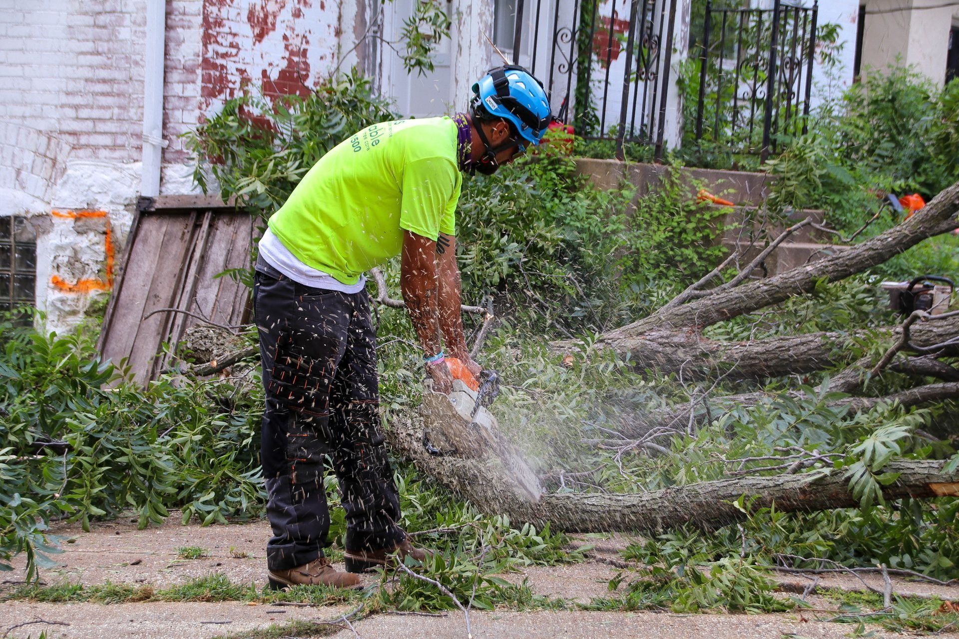 Man using chainsaw to cut a fallen tree, wearing safety gear, outdoors.