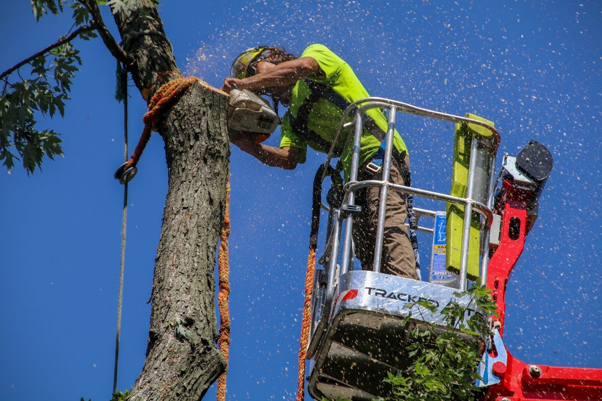 Person cutting tree branch with chainsaw from a lift. Sparks fly, sky is blue.