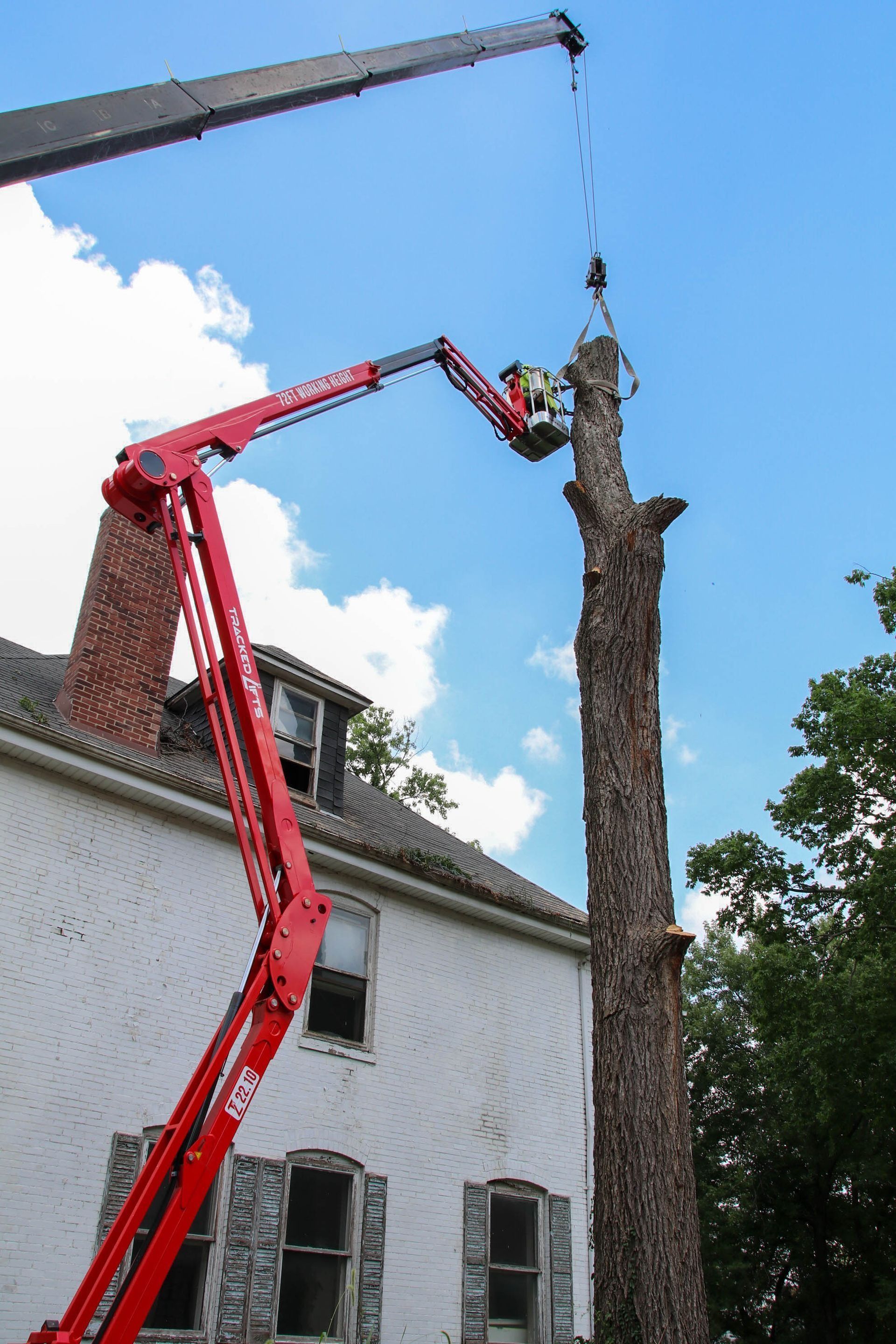 Red lift truck and crane trimming a tall tree next to a white house with dark window shutters.