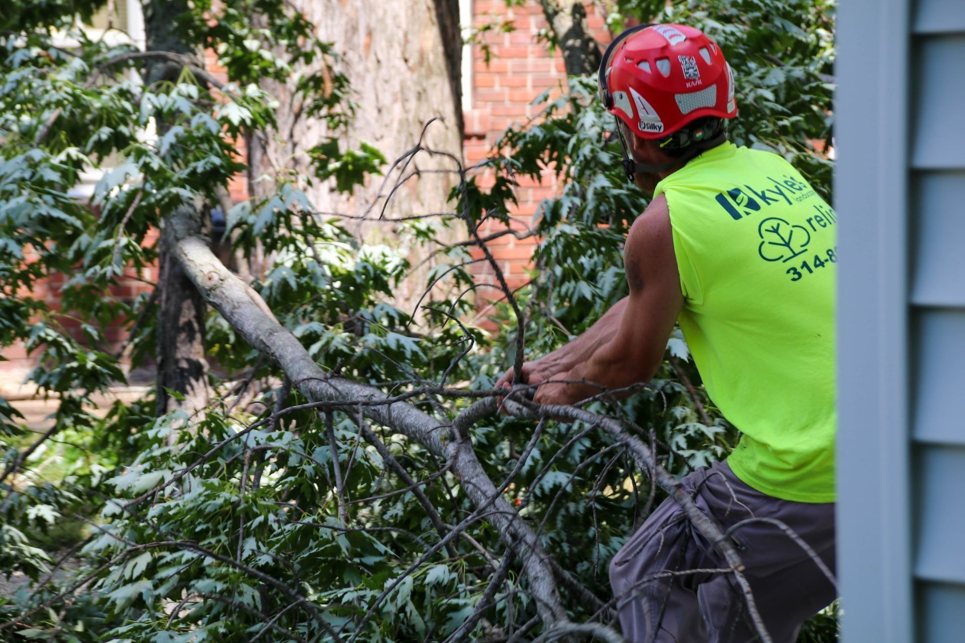 Tree worker in red helmet and neon shirt cutting tree branches.