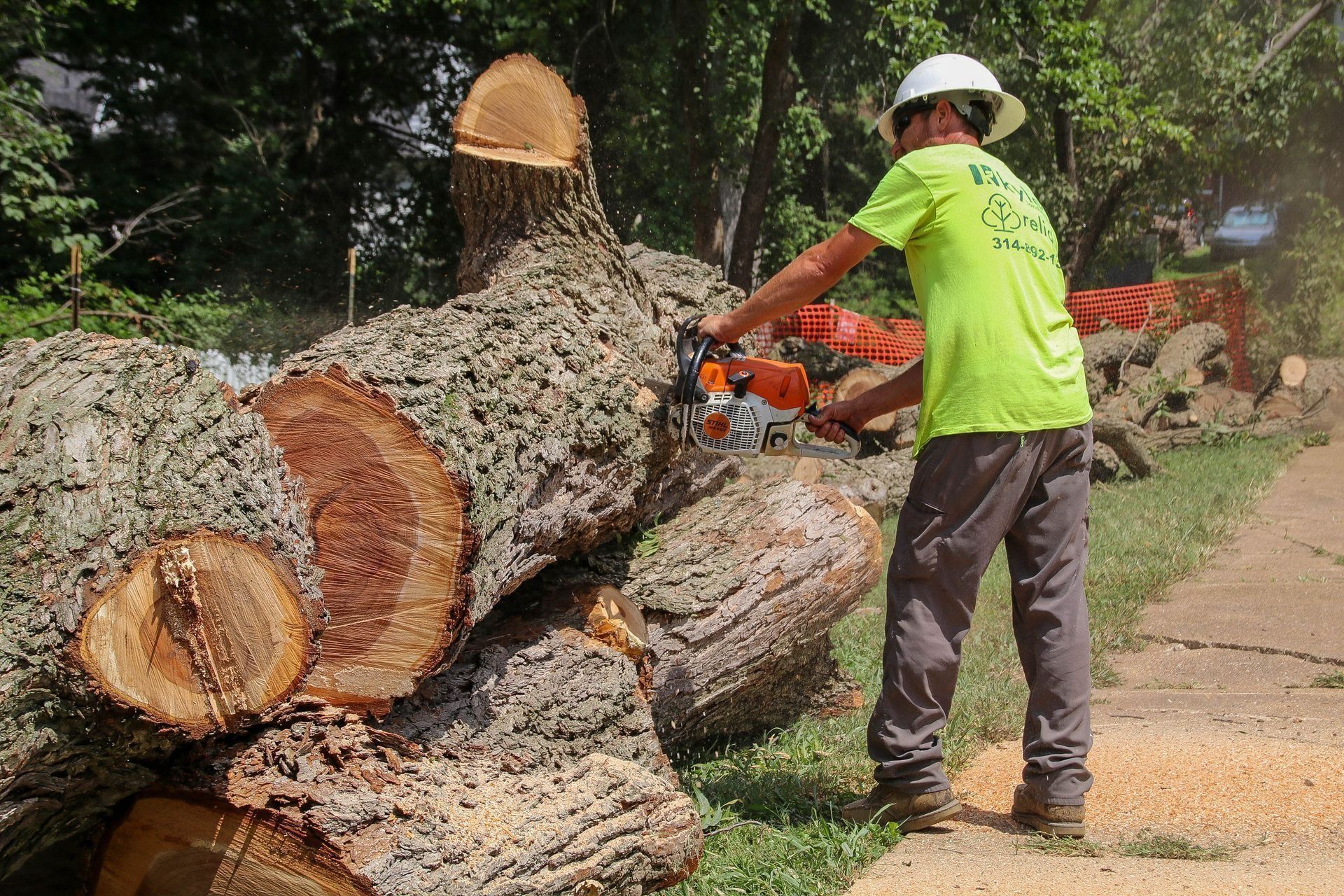 Arborist in a lime-green shirt uses a chainsaw to cut a tree trunk lying on the ground, near a sidewalk.