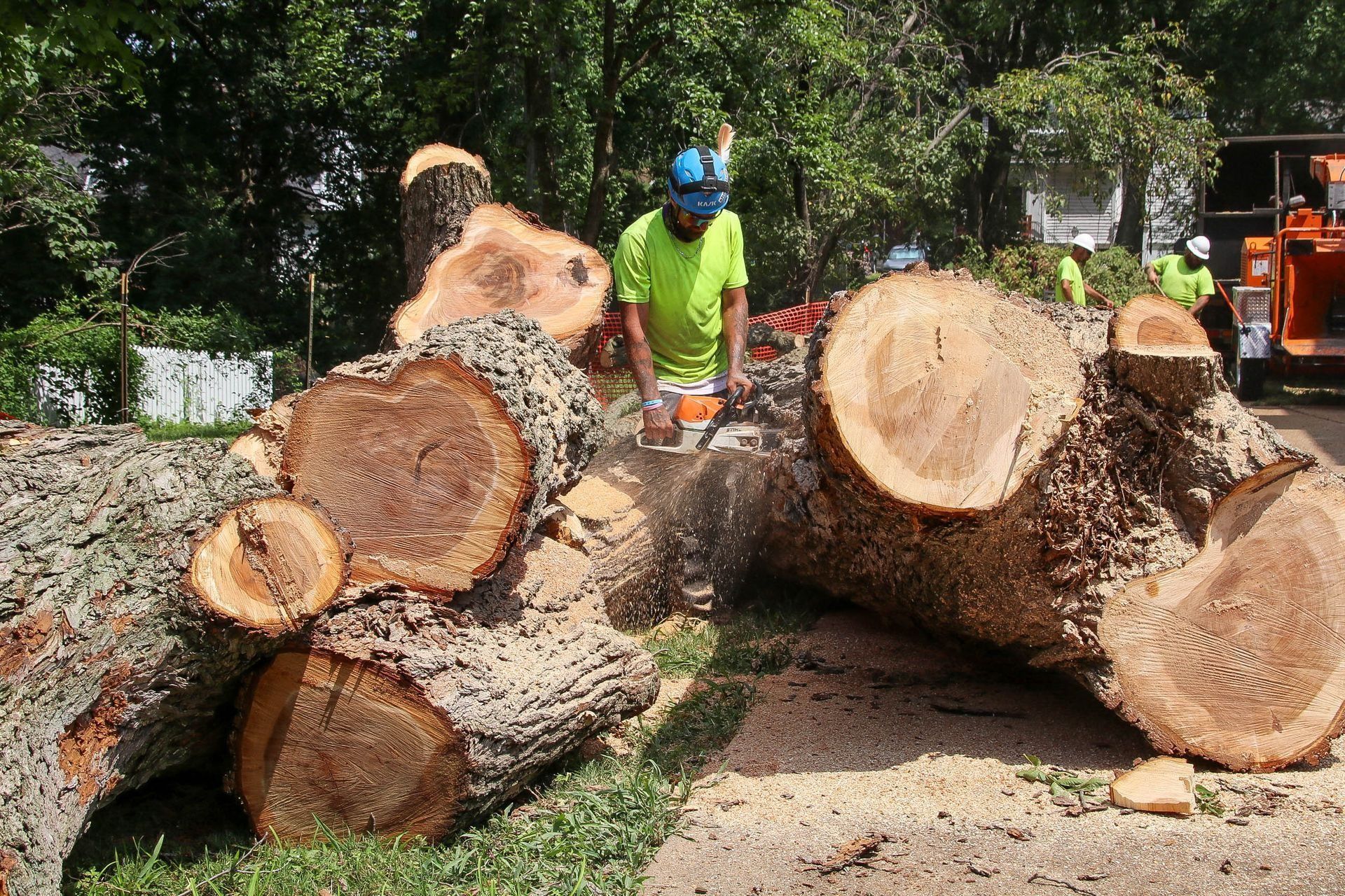 Man in neon shirt using chainsaw to cut large tree trunk. Other workers and orange truck in background.
