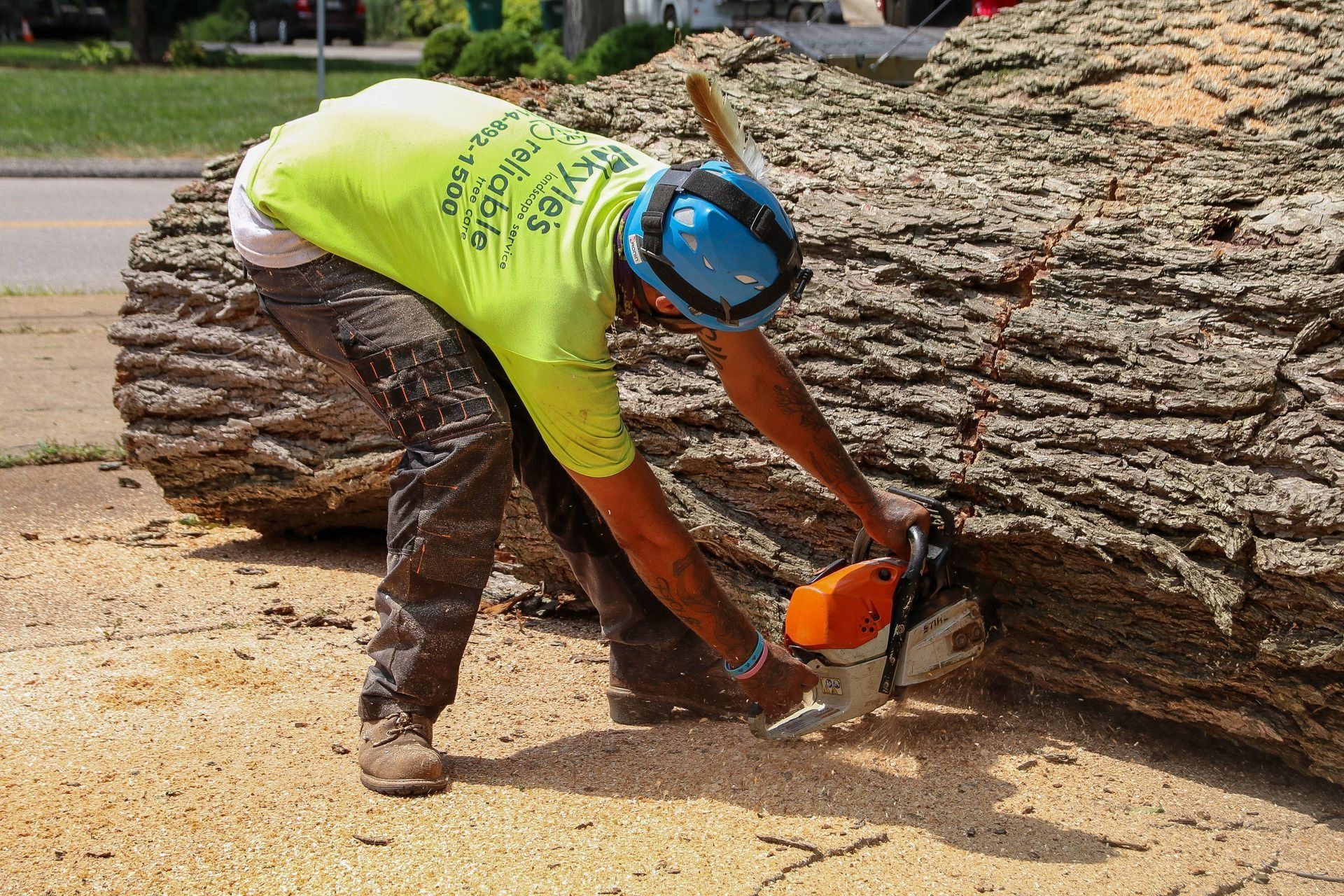 Man in a neon shirt using a chainsaw to cut a large tree trunk on the ground, outdoors.