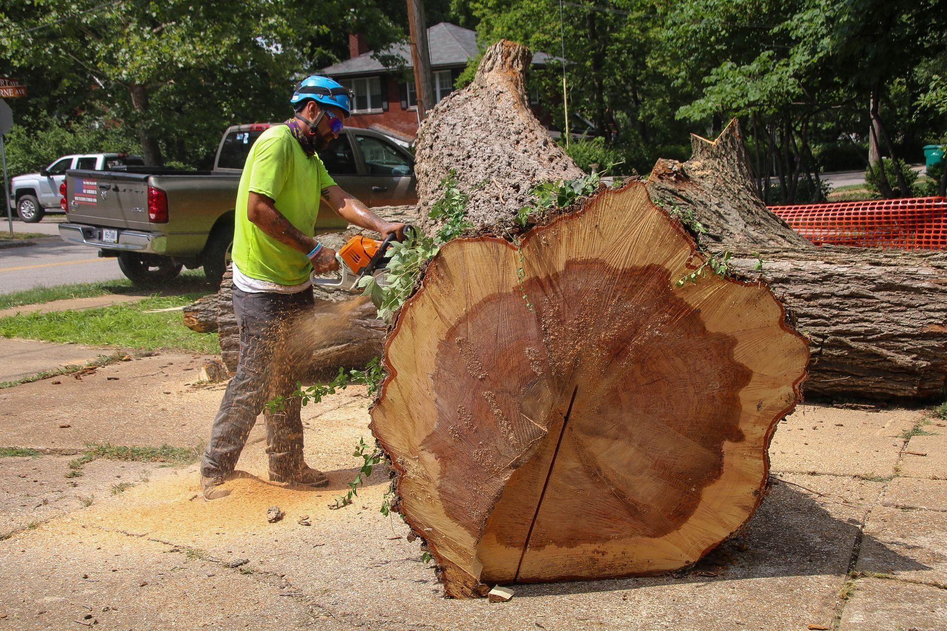 Man using a chainsaw to cut a large tree trunk on a paved street; wood chips flying.