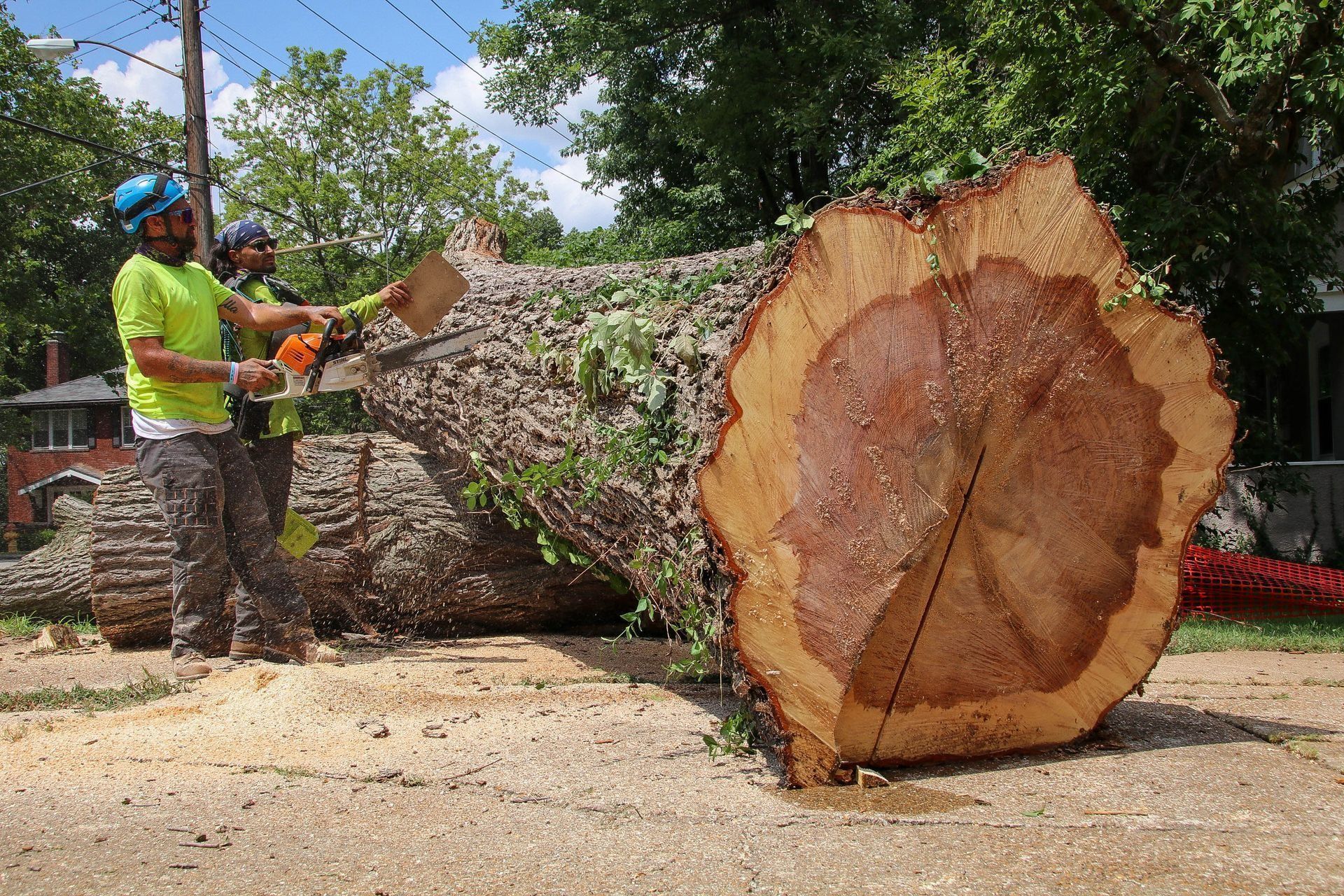 Two workers cutting a large tree trunk with a chainsaw on a gravel road.
