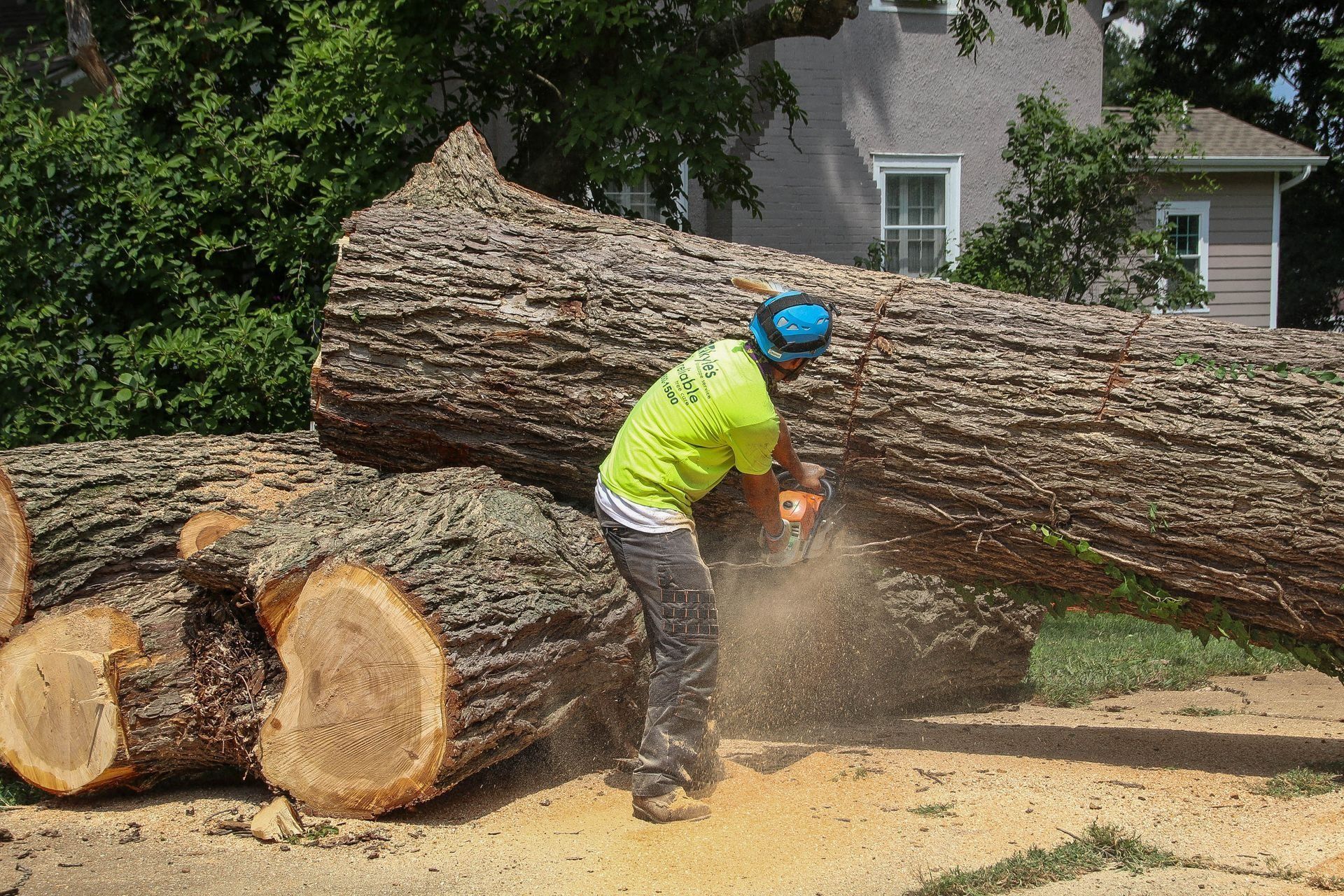 Arborist in neon shirt using a chainsaw to cut a large tree trunk. Wood chips fly.