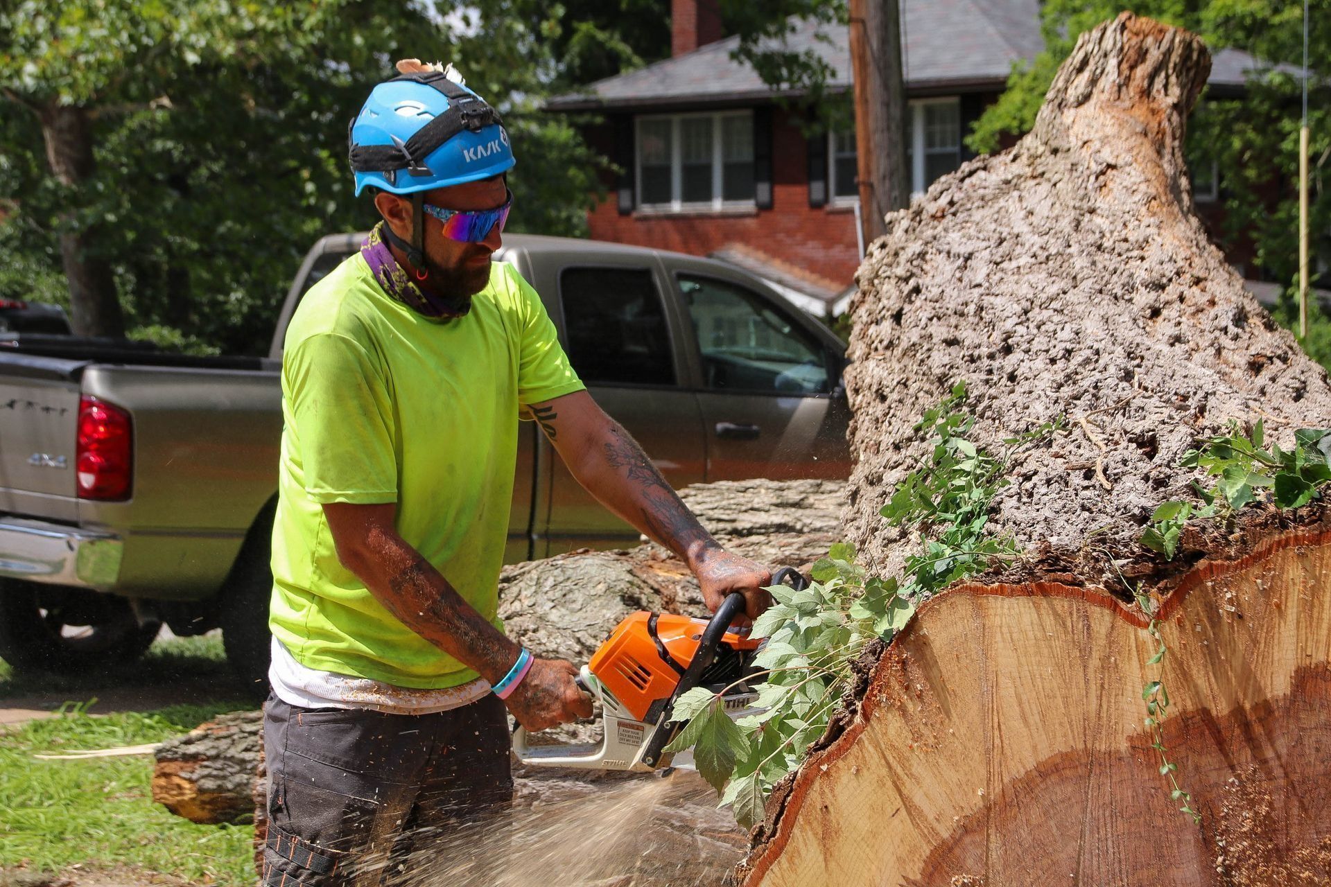 Man wearing safety gear uses a chainsaw to cut a large tree trunk outside.