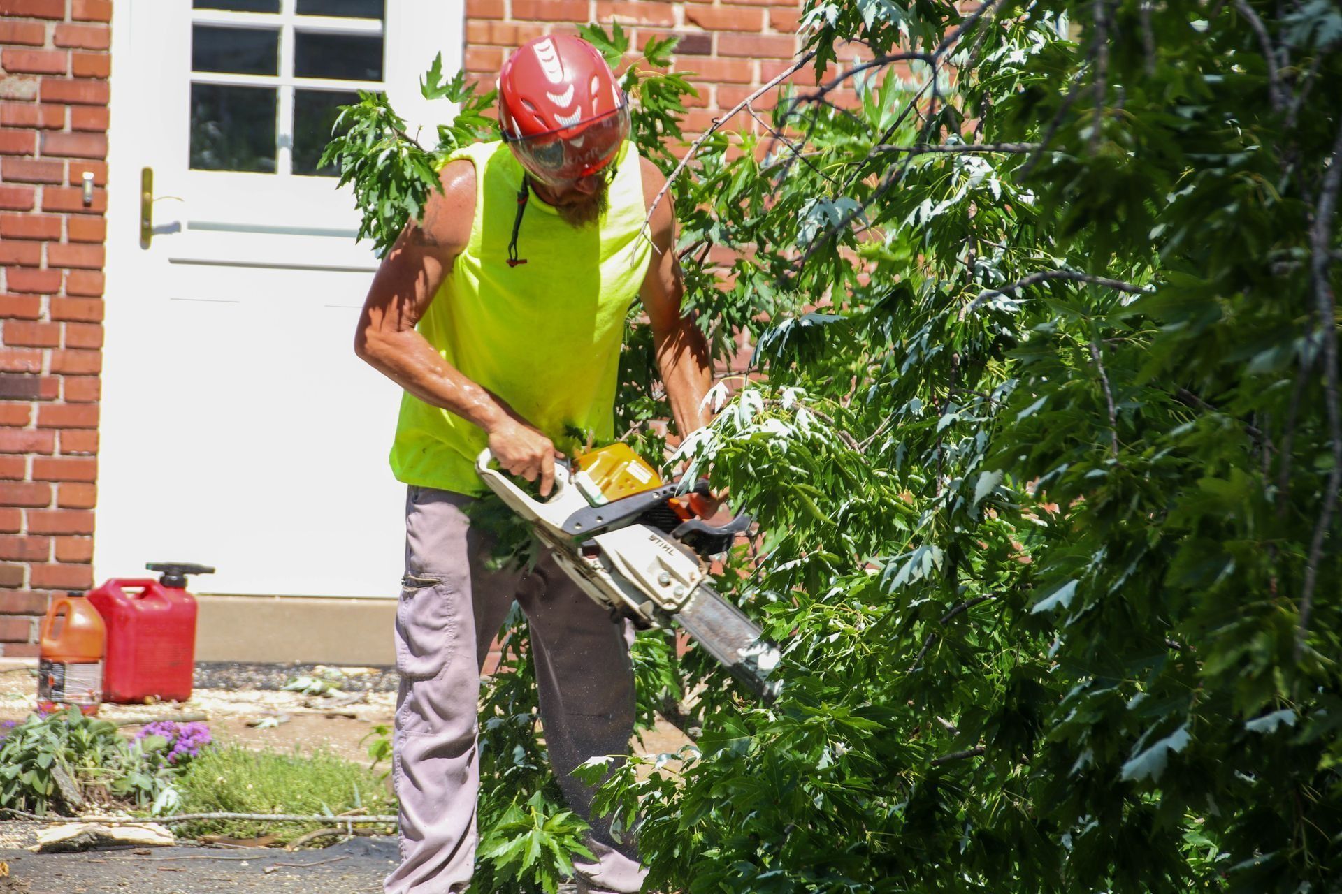 Man in safety gear using a chainsaw to trim a leafy tree, with a brick building in the background.