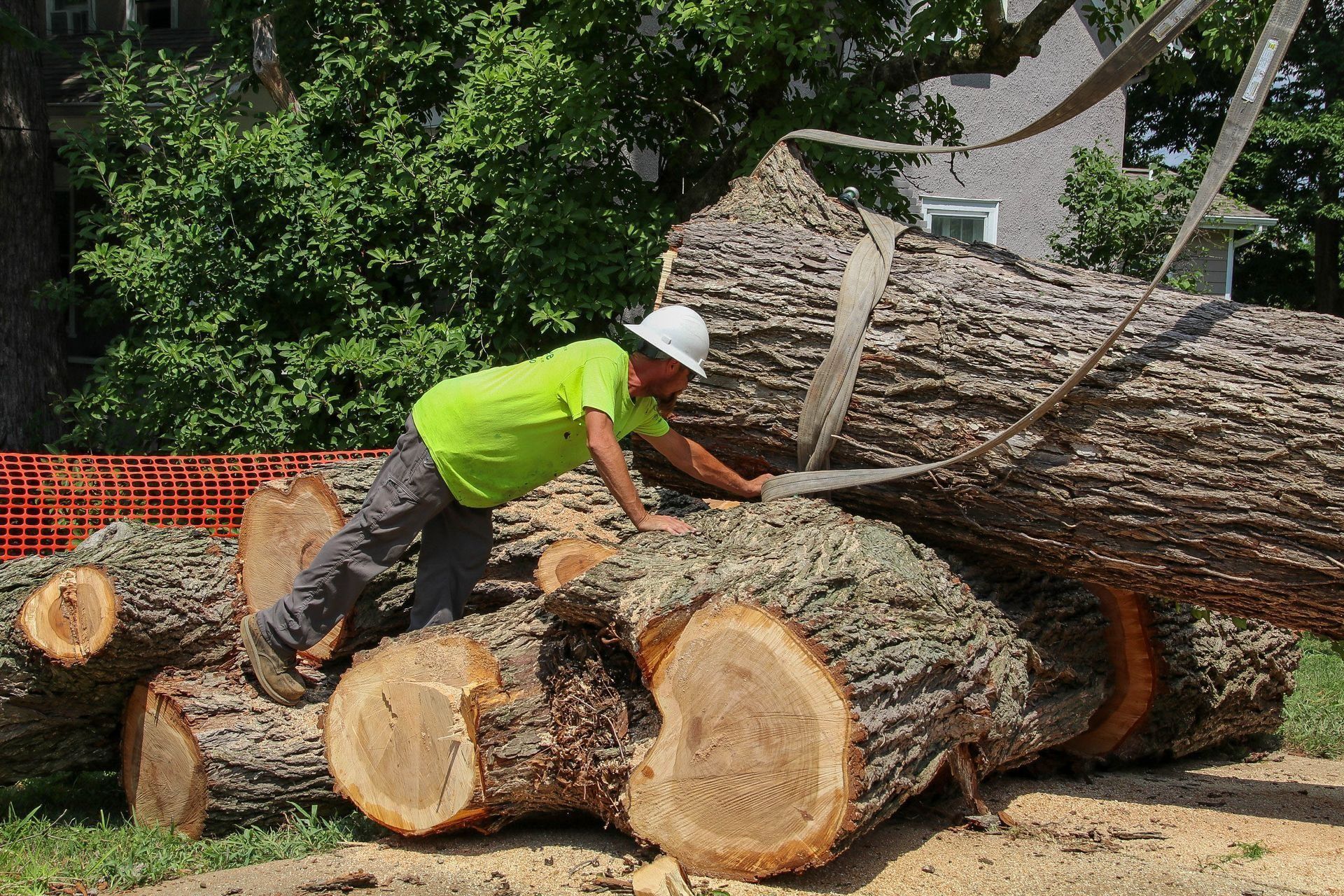 Arborist in neon green shirt examines large logs, some cut, lying on the ground, near a house and trees.