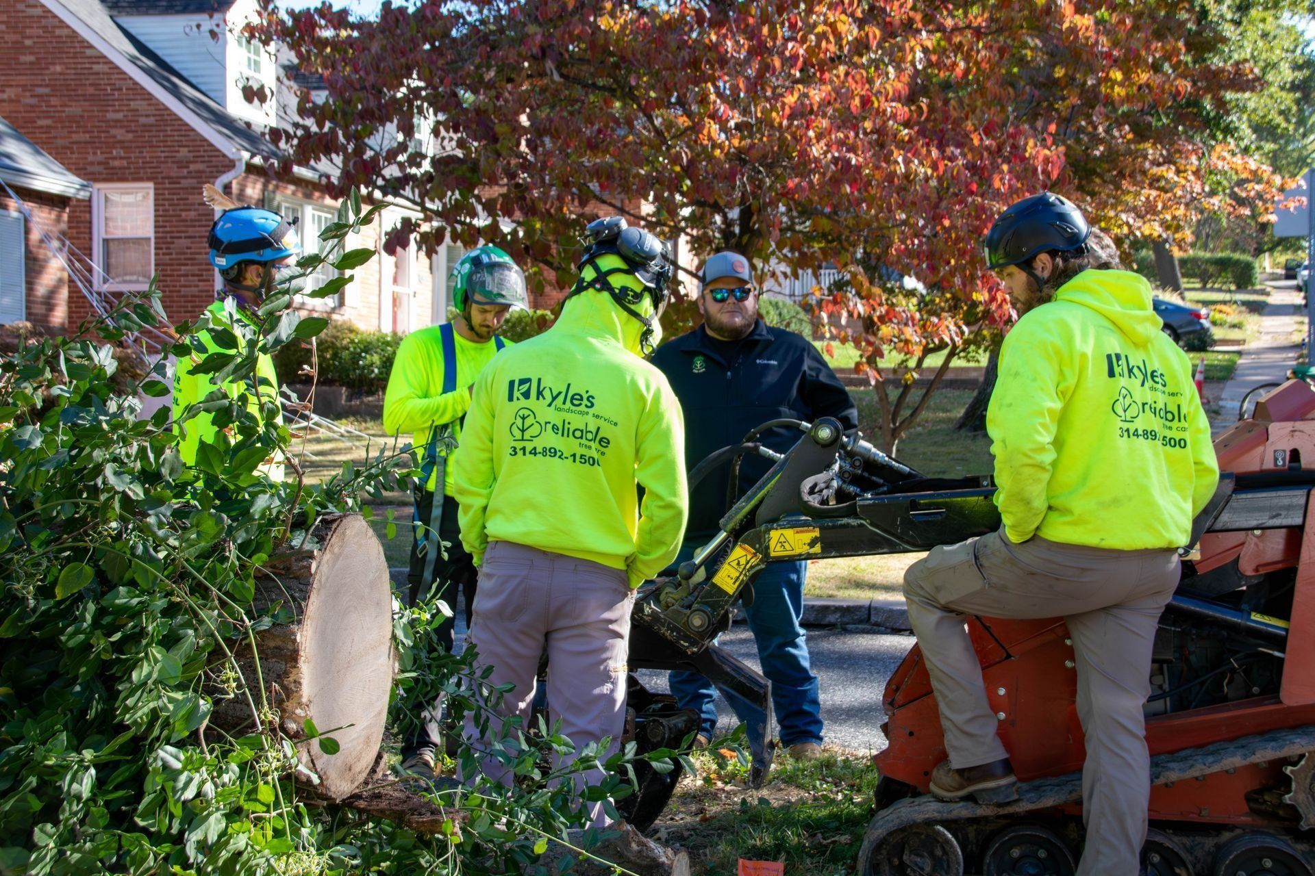 Tree service crew around a cut tree, wearing safety gear and bright yellow hoodies.