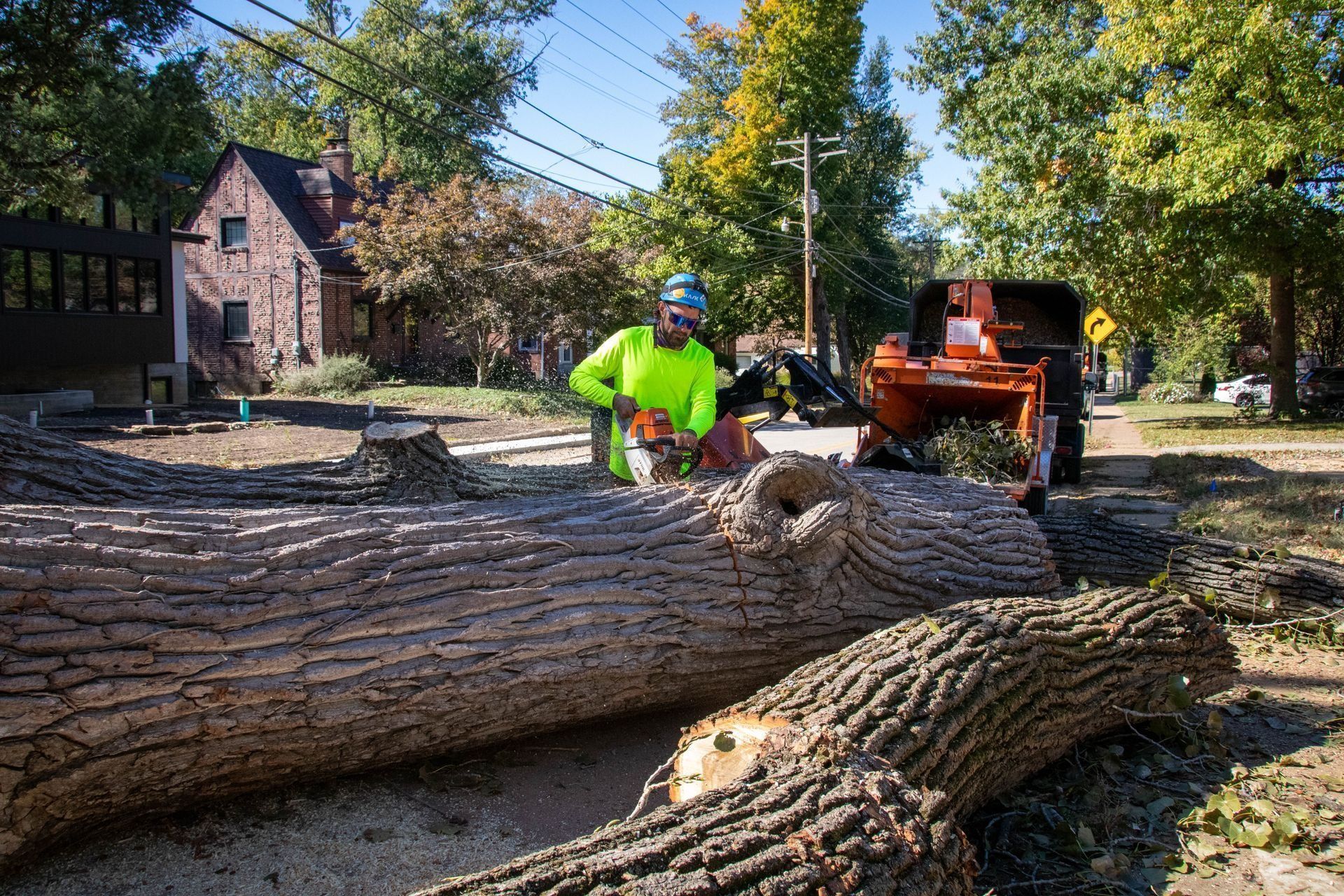 Tree worker using chainsaw, cutting large log on a residential street; orange chipper in background.