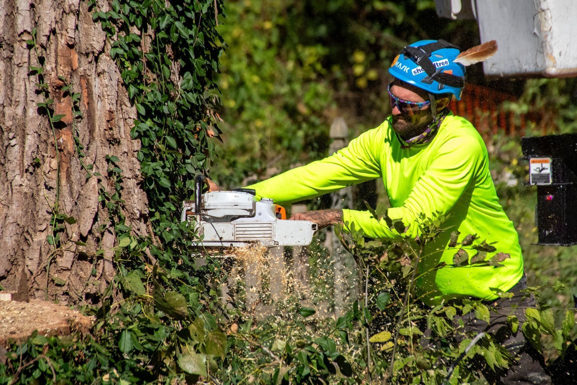 Arborist in neon yellow gear uses chainsaw on a tree, surrounded by greenery. Sunny outdoor setting.