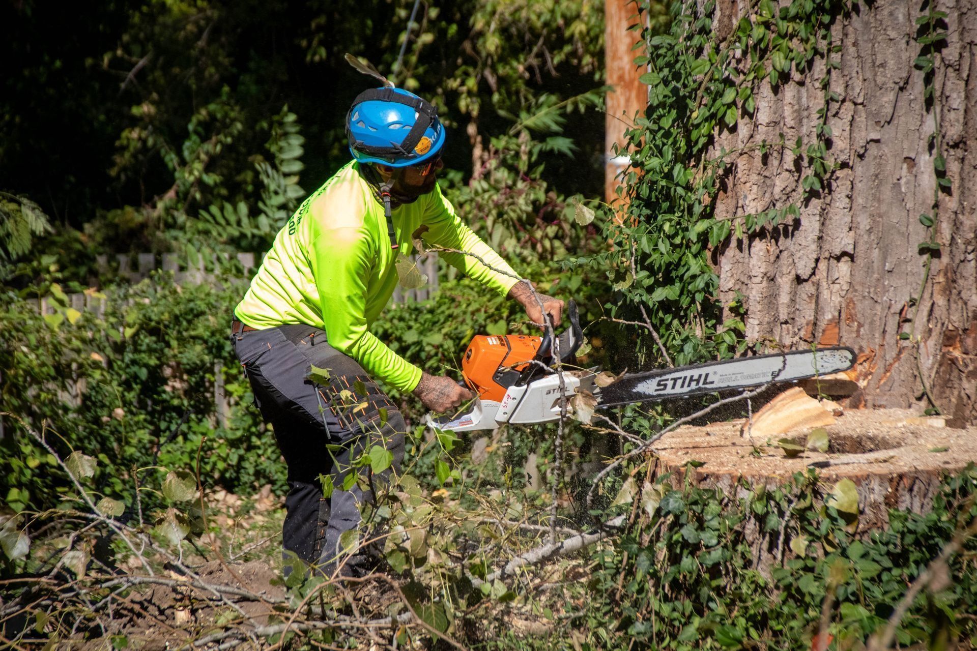 Arborist in neon shirt, blue hard hat using chainsaw to cut a tree trunk outdoors.