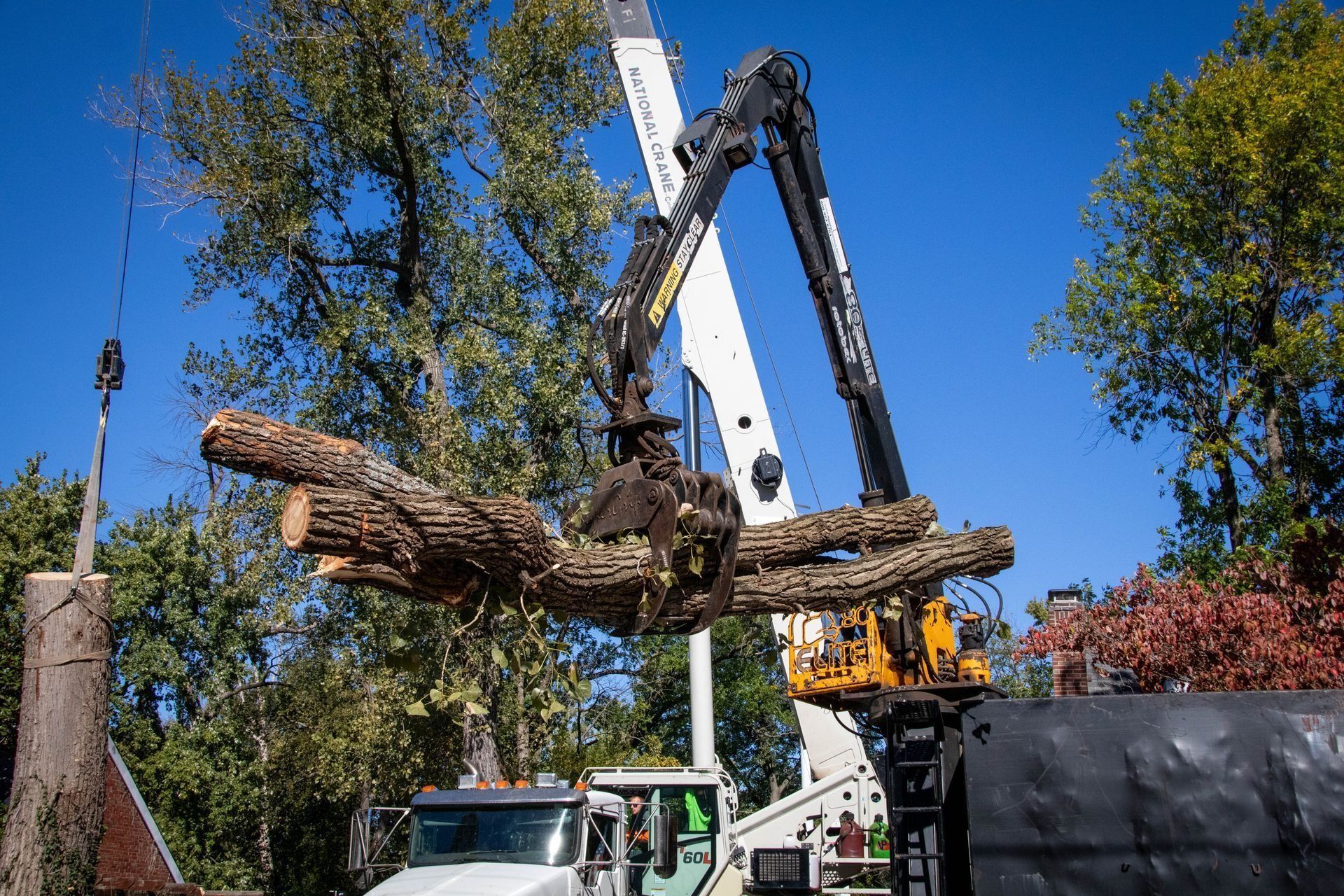Crane lifting large tree logs against a blue sky, tree service equipment visible.