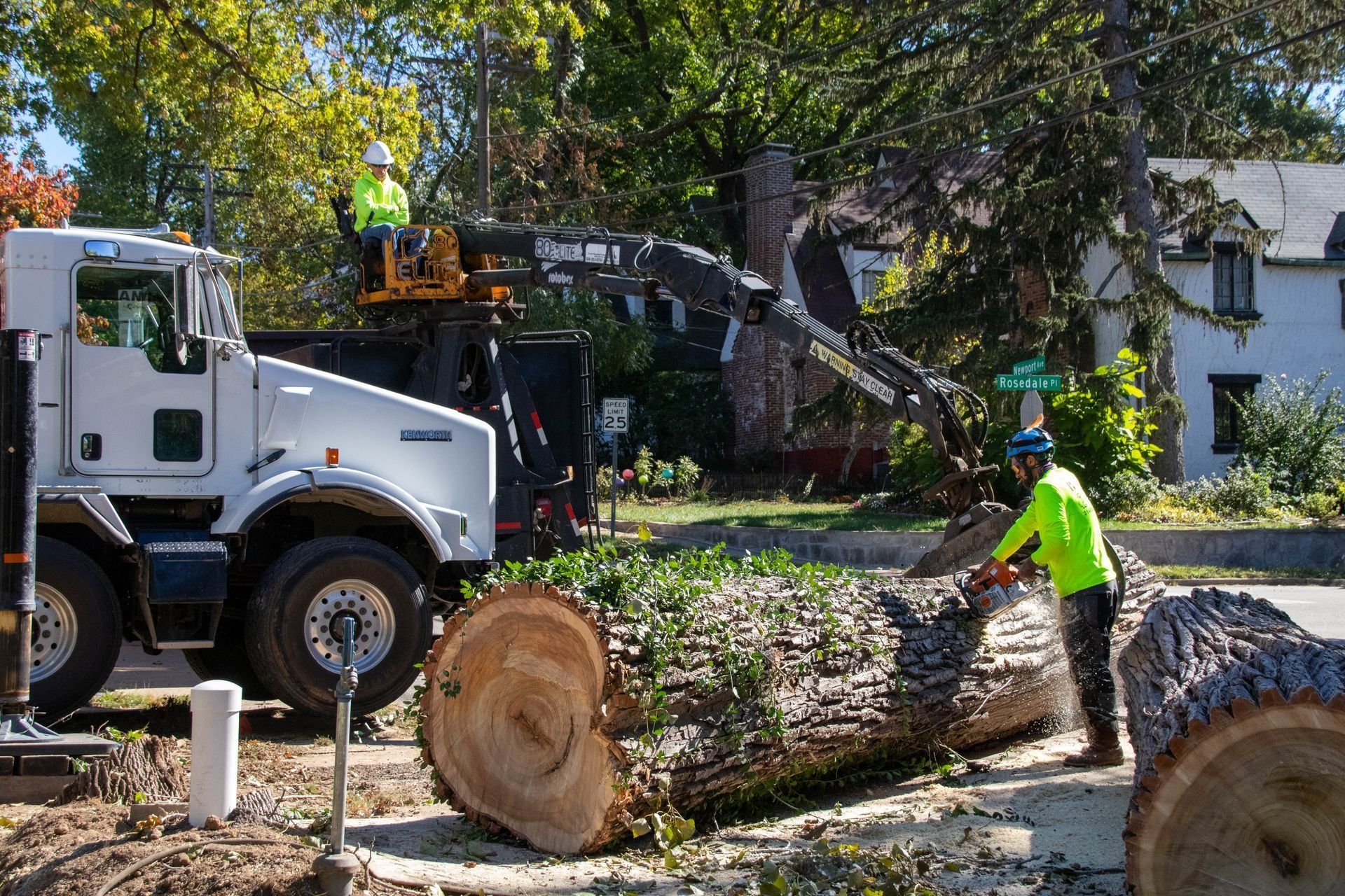 Tree removal: workers with truck and chainsaws cutting a large log on a street, another worker in bucket lift.