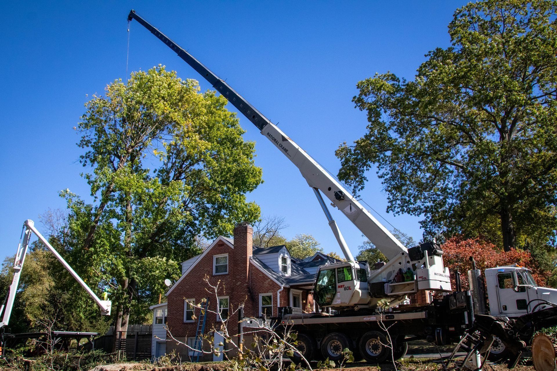 Crane removing tree branches near a house, blue sky, and green/yellow foliage.