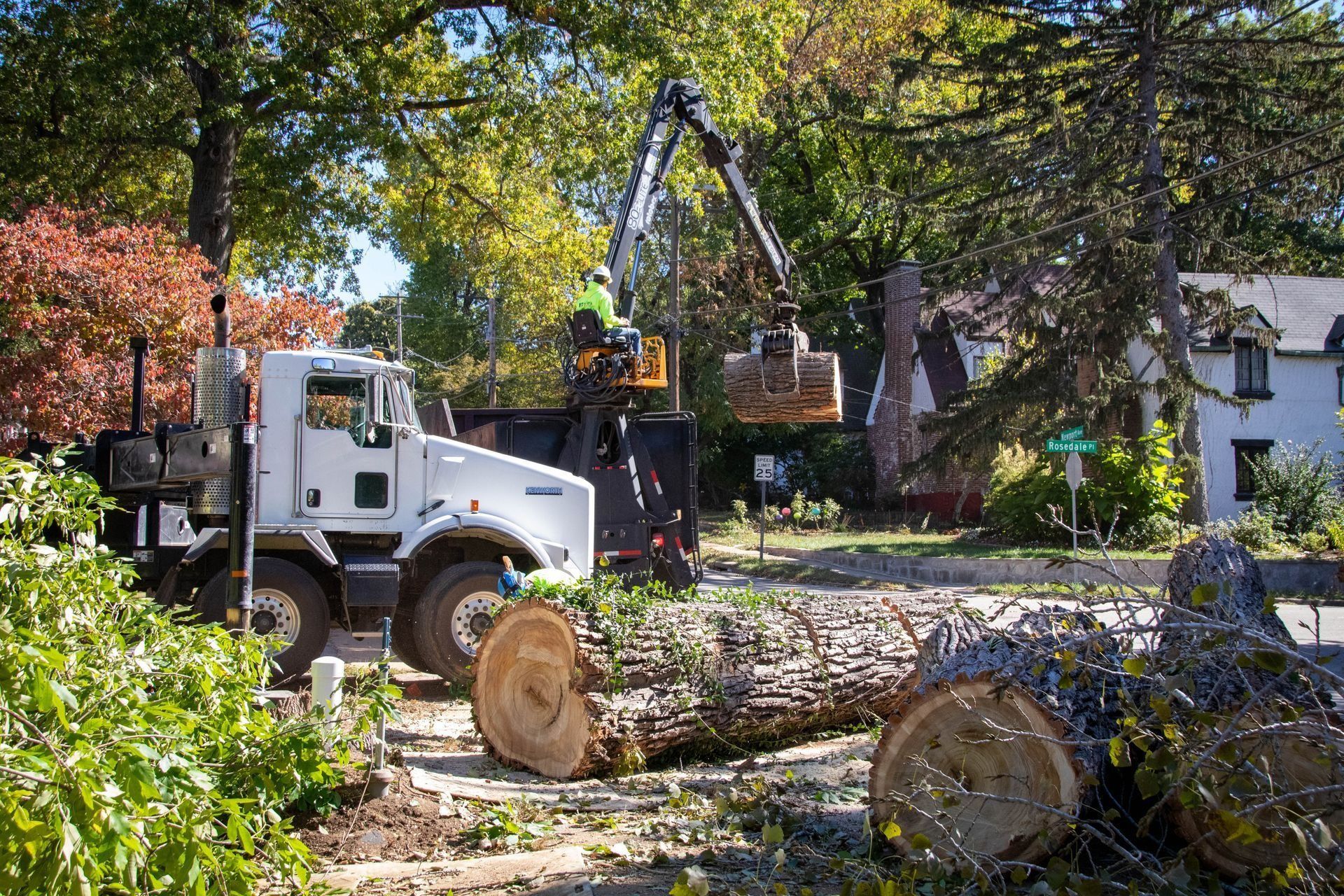 Tree removal in progress: A worker on a truck uses a crane to lift a tree trunk, with logs on the ground.