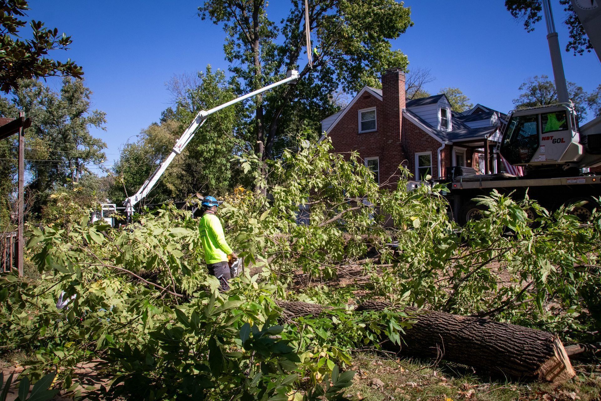 Person in neon vest trims branches near a house, using a crane; sunny day.
