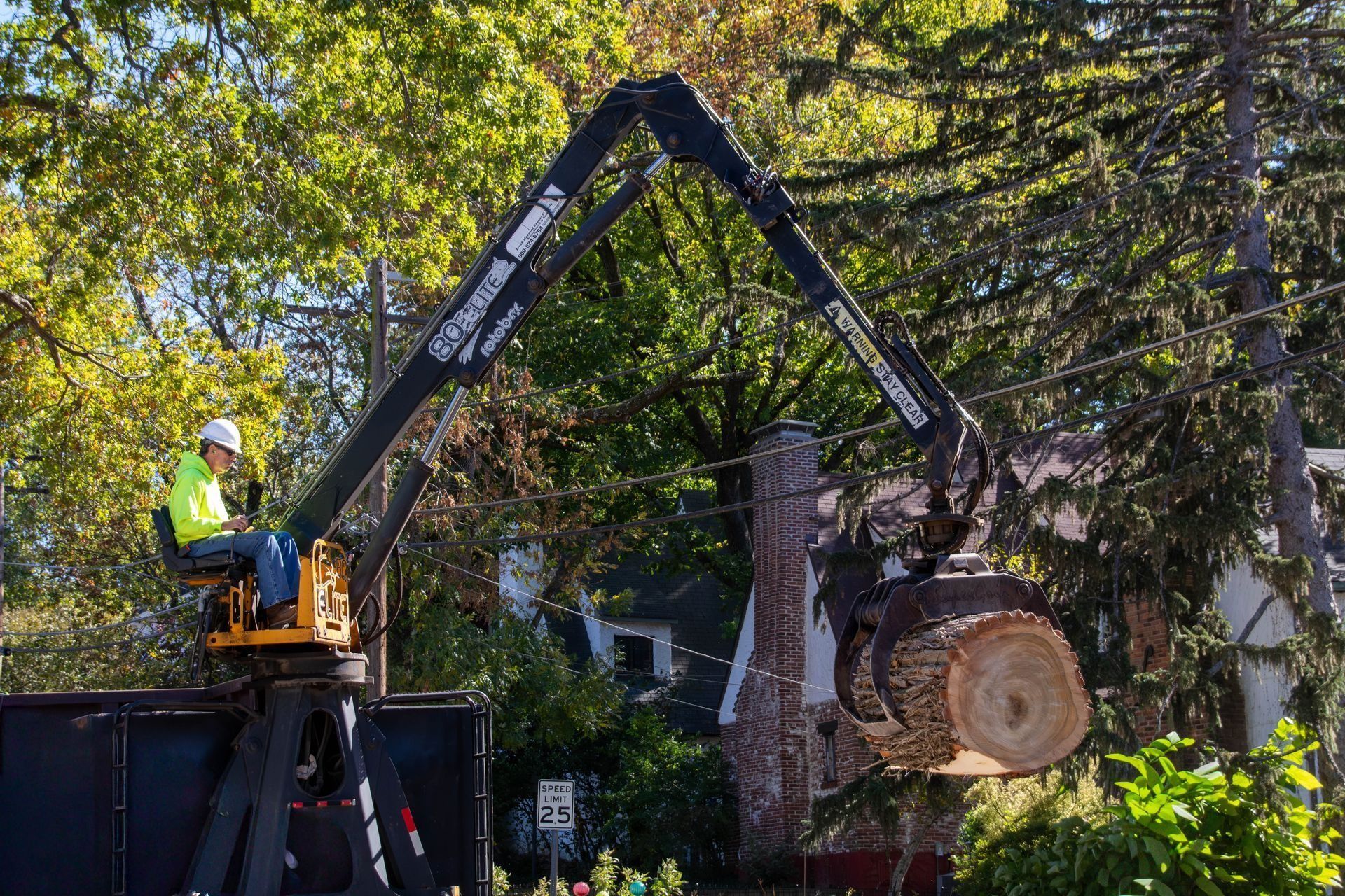 Tree worker in lift trimming a tree near a brick chimney and house.