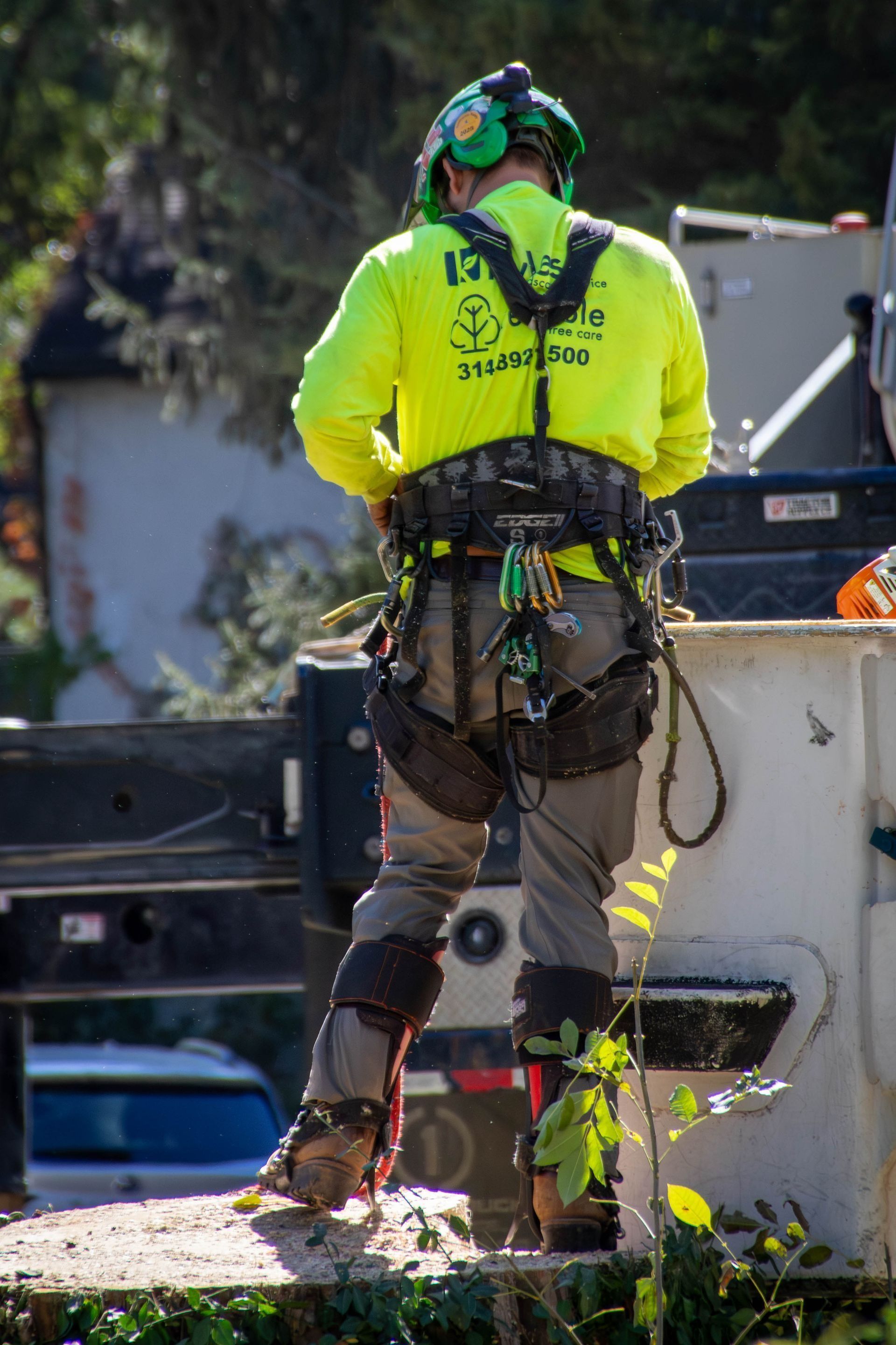 Arborist in bright yellow shirt and safety gear stands near a lift, preparing for tree work.