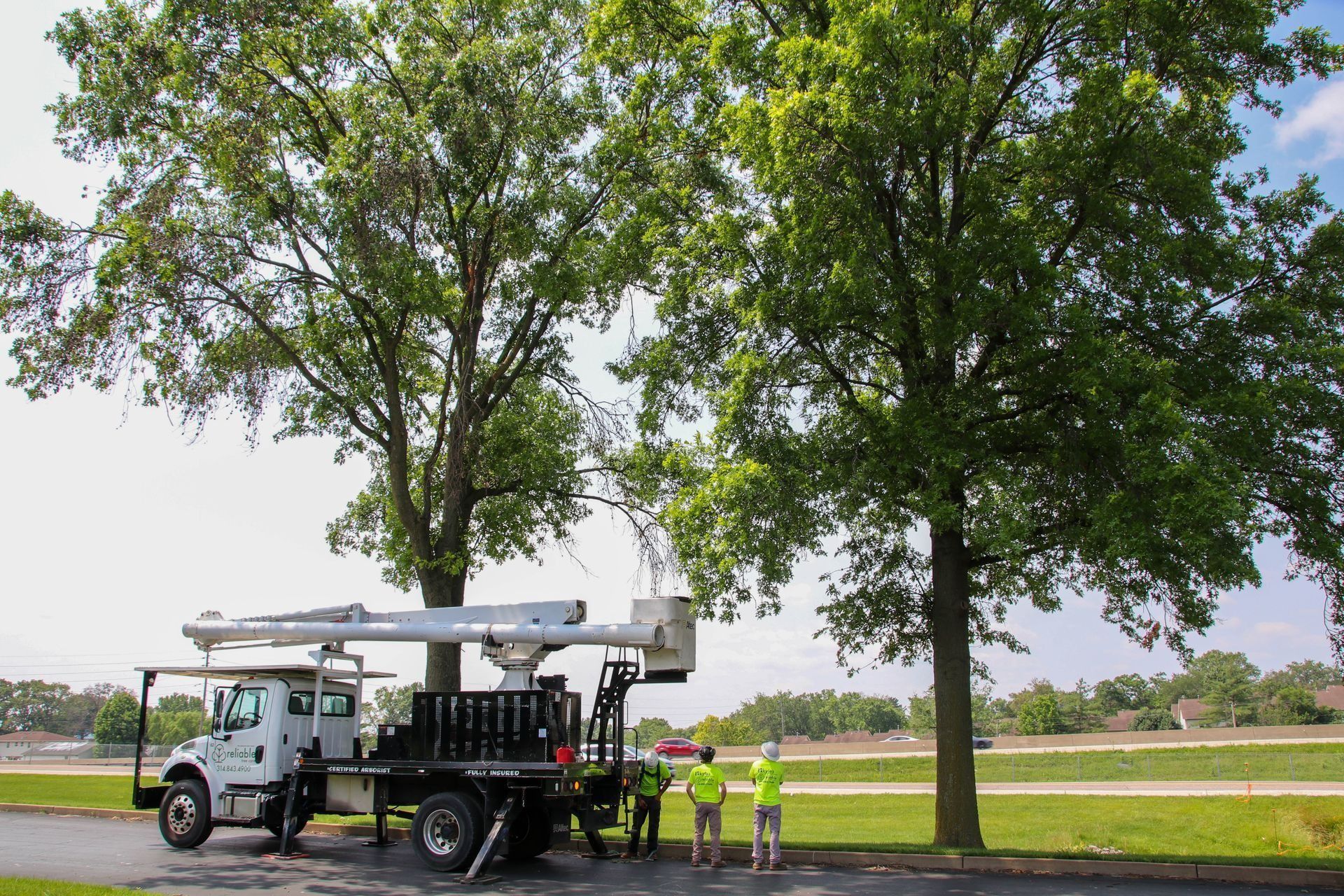 A utility truck with boom is trimming a tree, two workers in vests stand by, green grass and houses in the background.