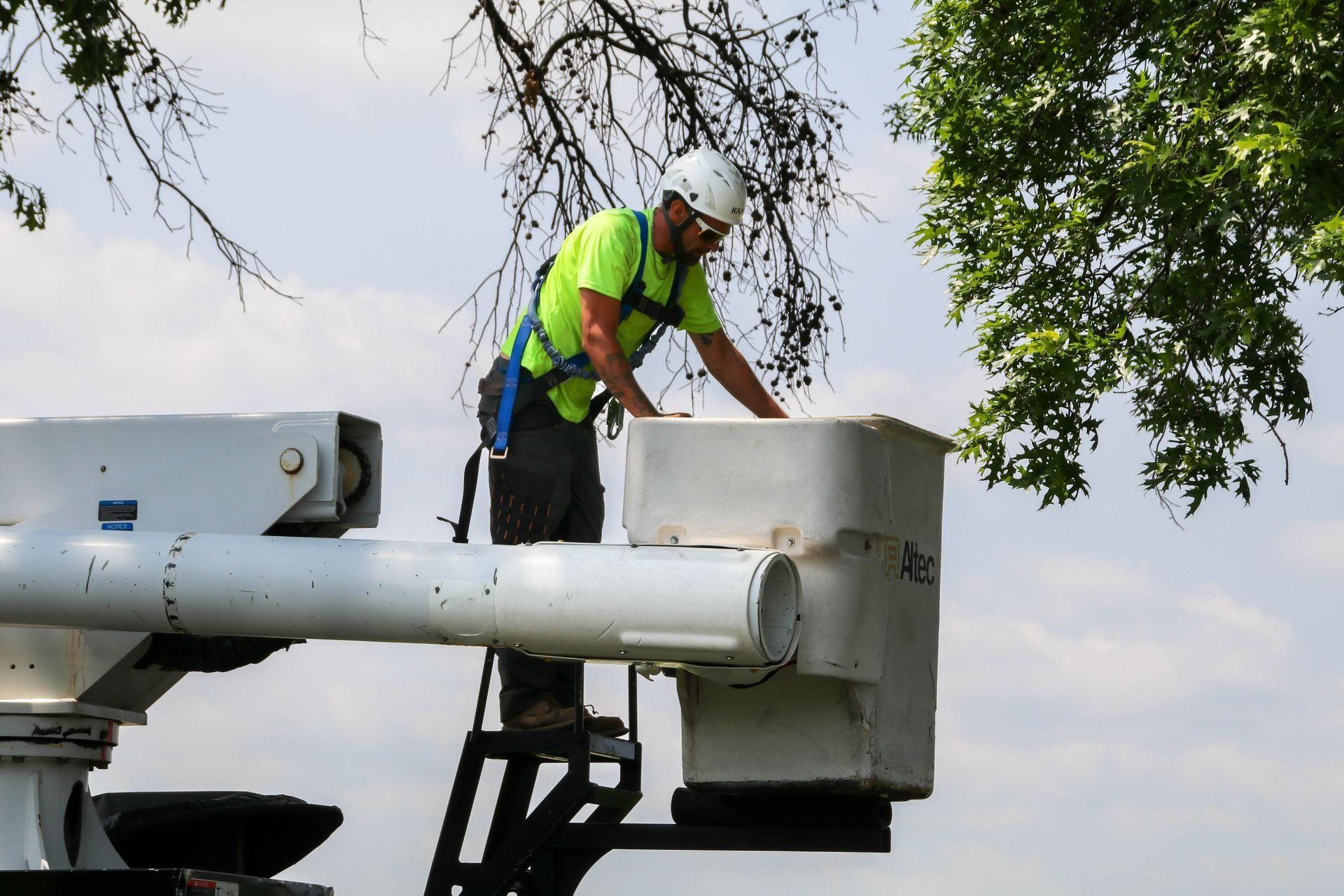 Arborist in a bucket lift, trimming tree branches outdoors.