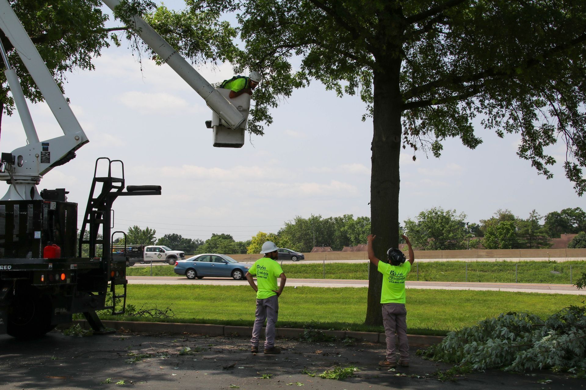 Tree trimming: workers in safety gear using a lift truck to prune a tree, on a sunny day.