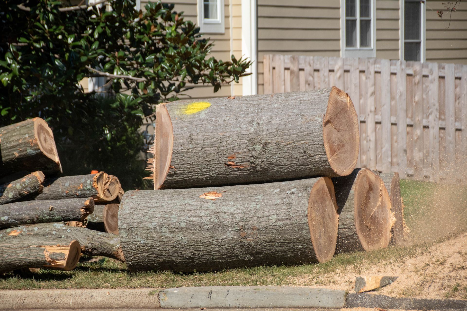 Logs stacked on grass near a curb, with a fence and a house in the background.