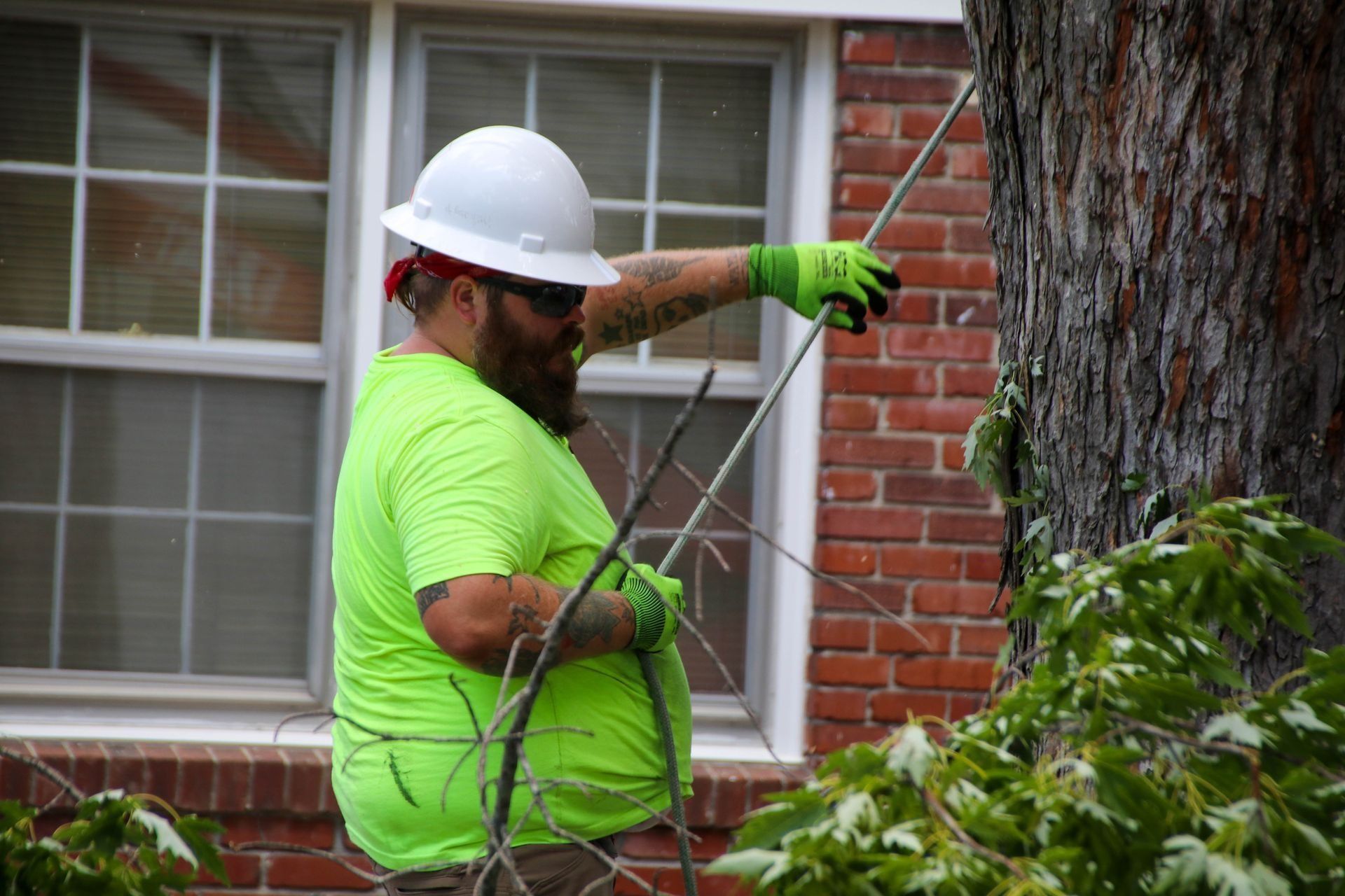 Man in safety gear trimming tree branches near a brick house.