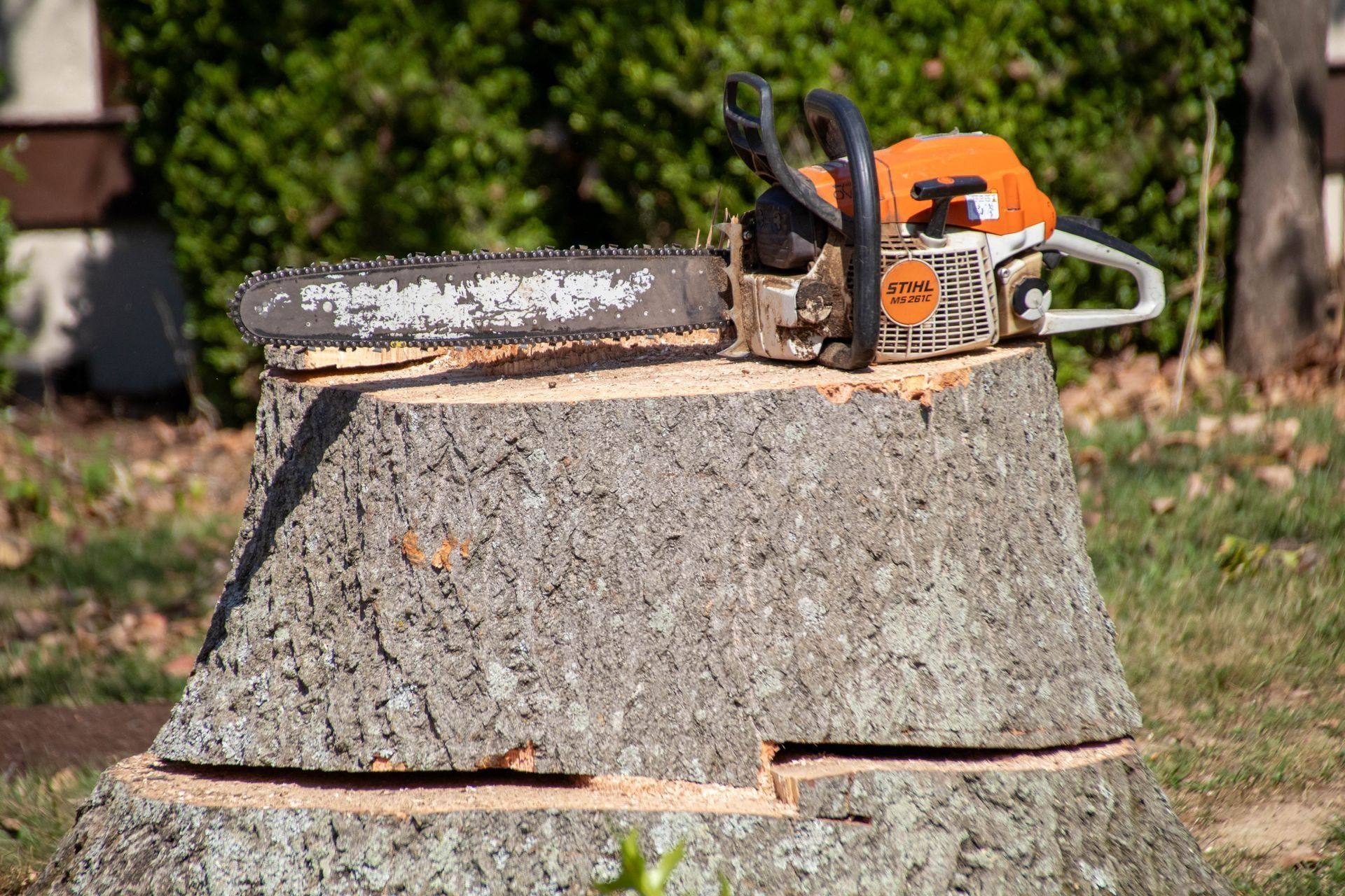 Chainsaw resting on a tree stump in an outdoor setting. The chainsaw is orange and black.