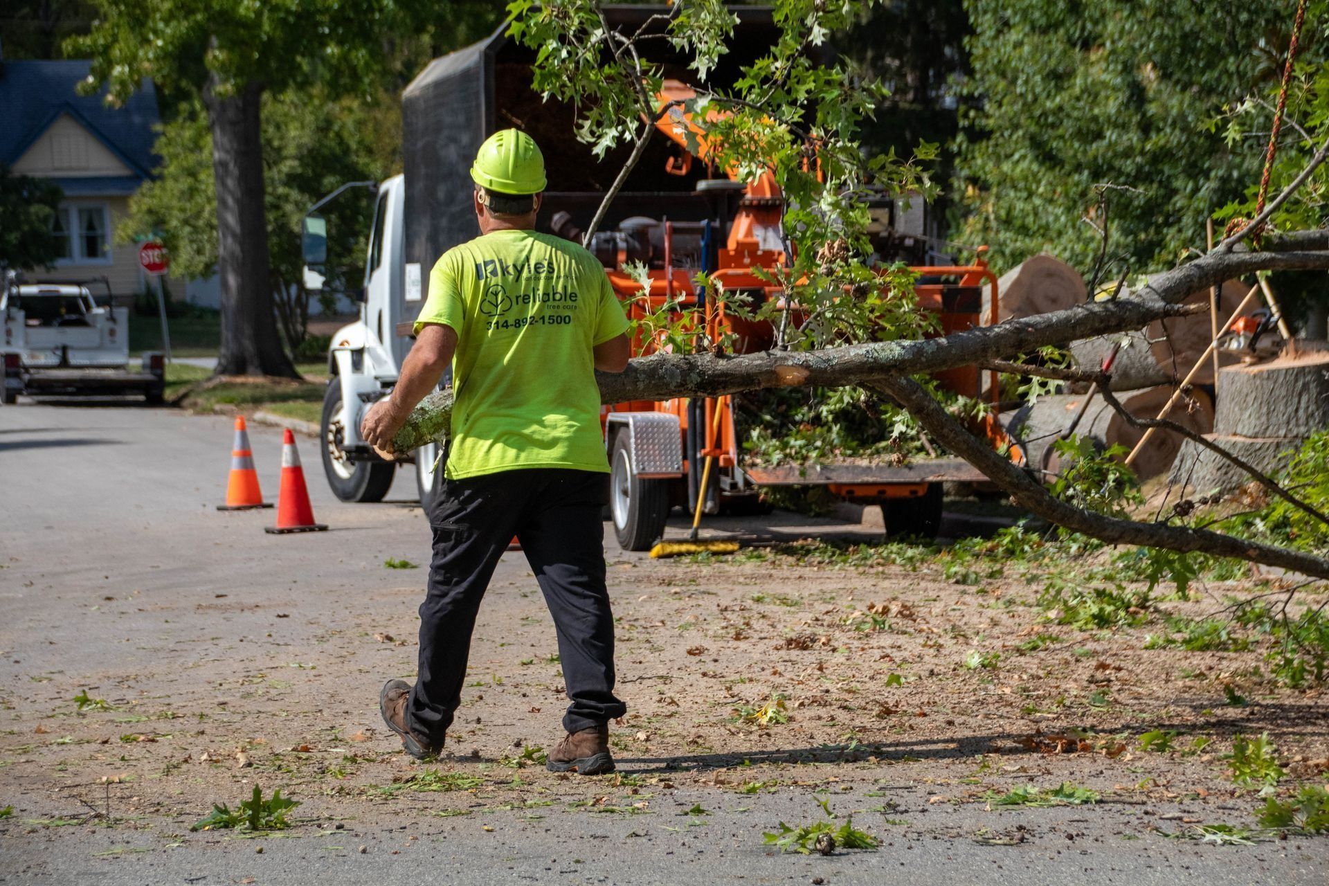 Arborist in neon green shirt carries tree branch toward a wood chipper on a sunny street.