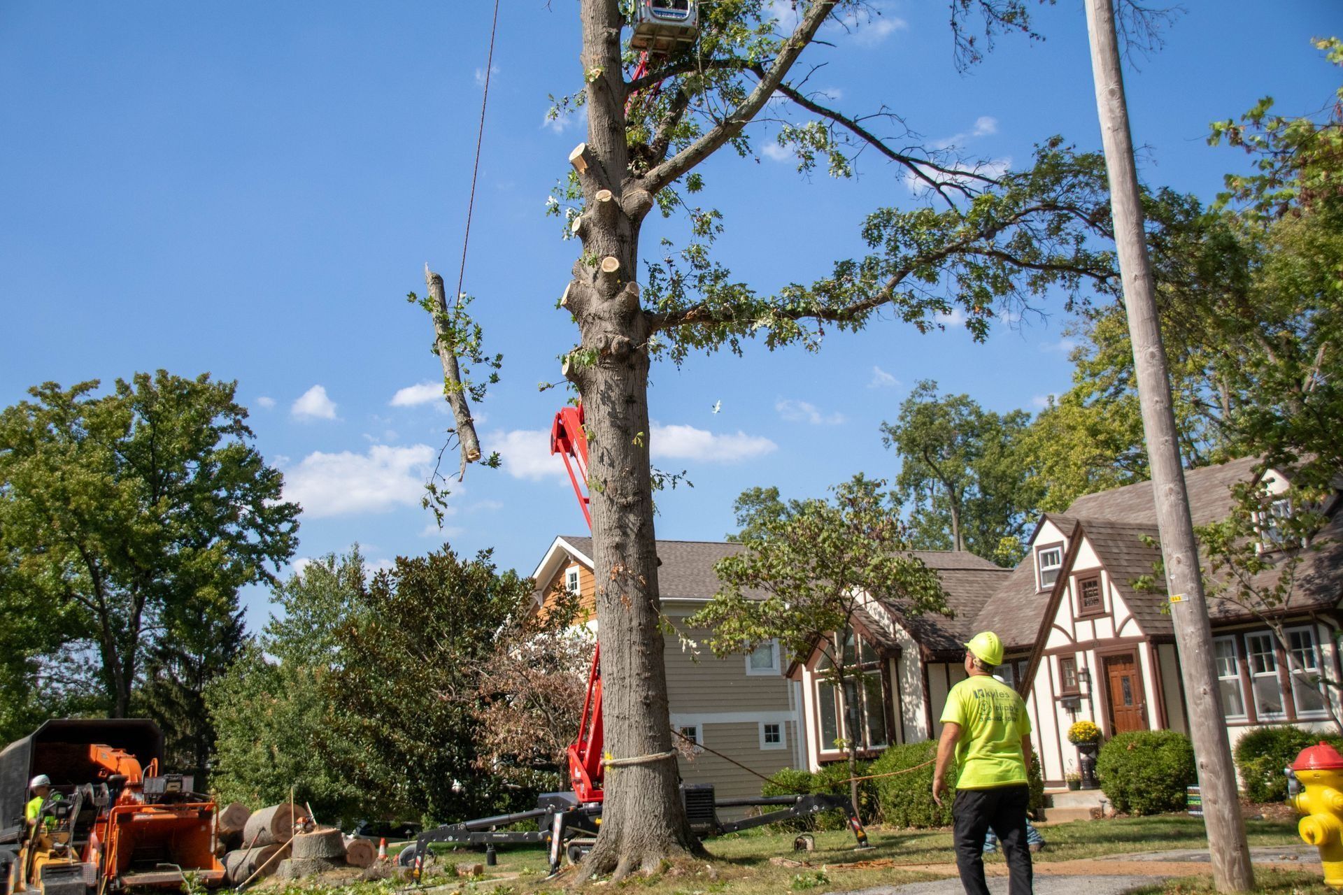 Tree being trimmed by workers; orange wood chipper; houses and blue sky.