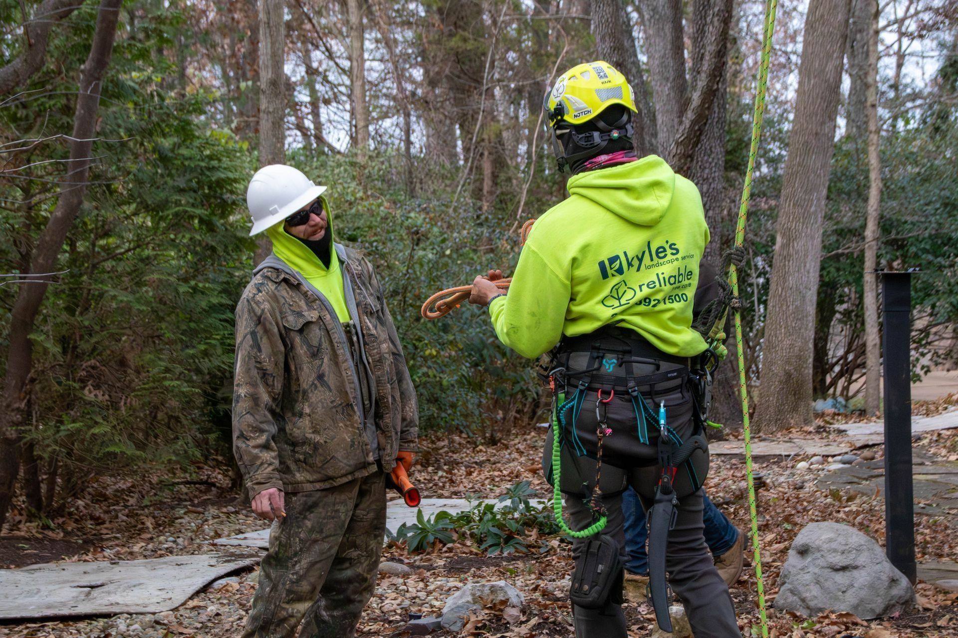 Two tree workers outdoors: one in safety gear, discussing with another.