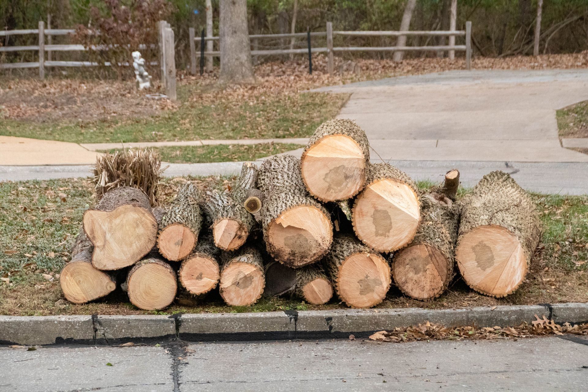Pile of freshly cut logs on a grassy verge next to a sidewalk.