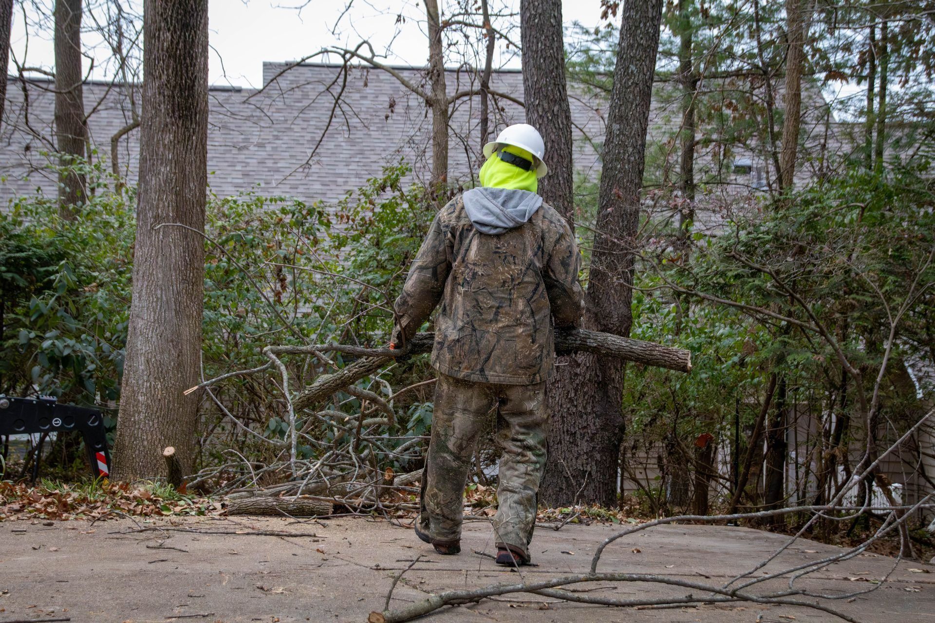 Person in camo clothing and hard hat carrying tree branches in a wooded area.