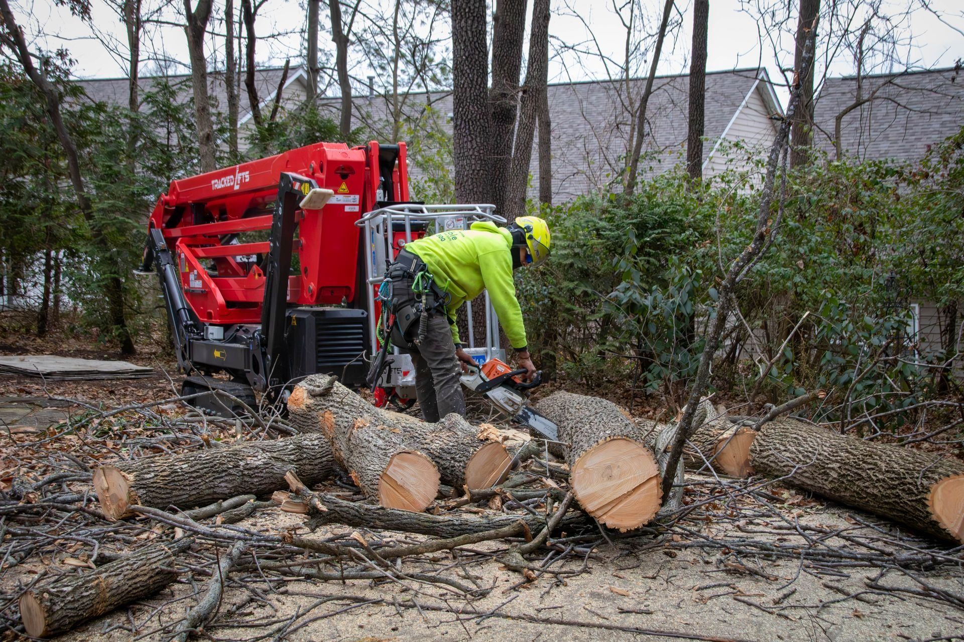 Man cutting logs with a chainsaw near a red woodchipper in a wooded area.