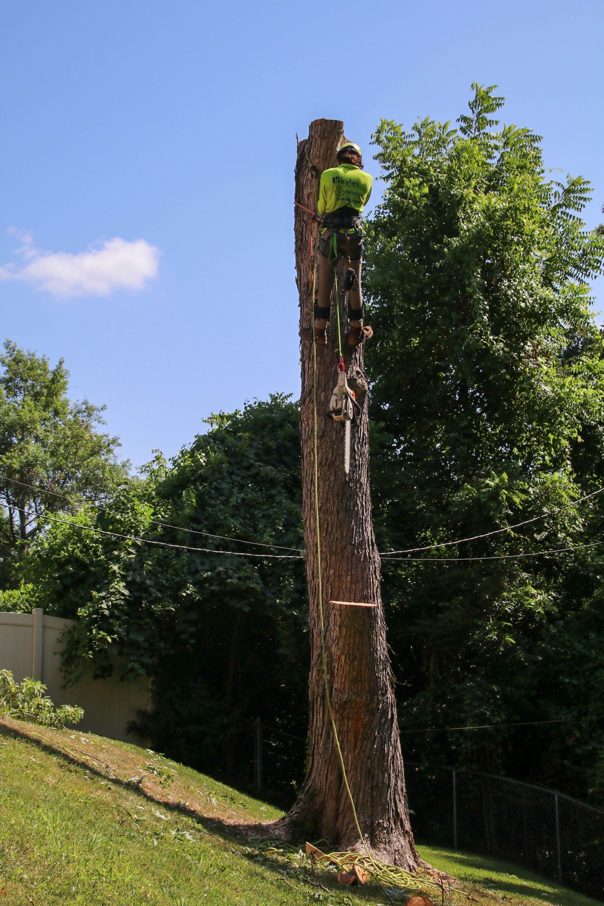 Arborist cutting down a tall tree trunk, wearing safety gear, with green foliage and blue sky in the background.