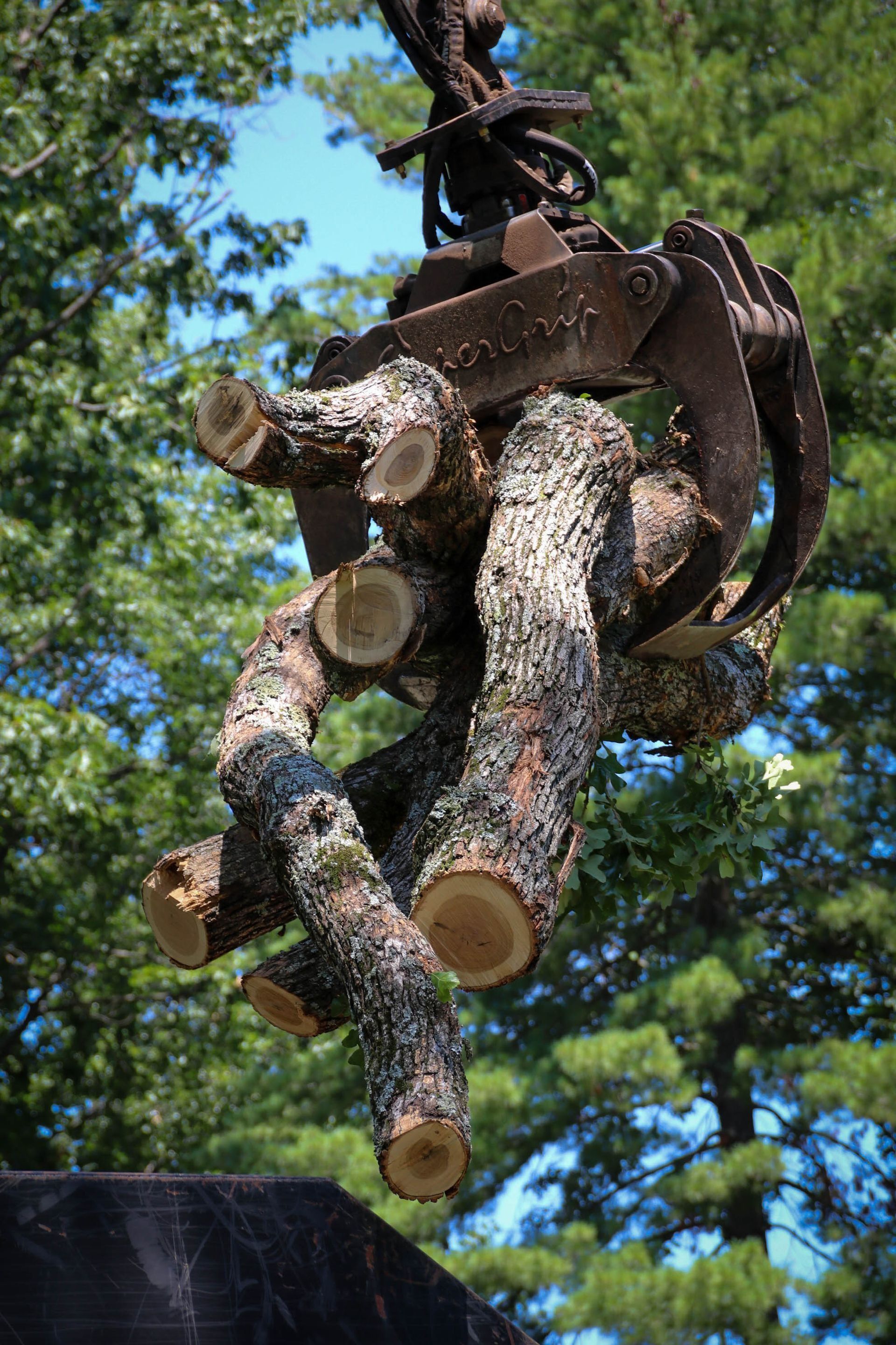 Crane holding a bundle of cut logs, against a green forest backdrop.