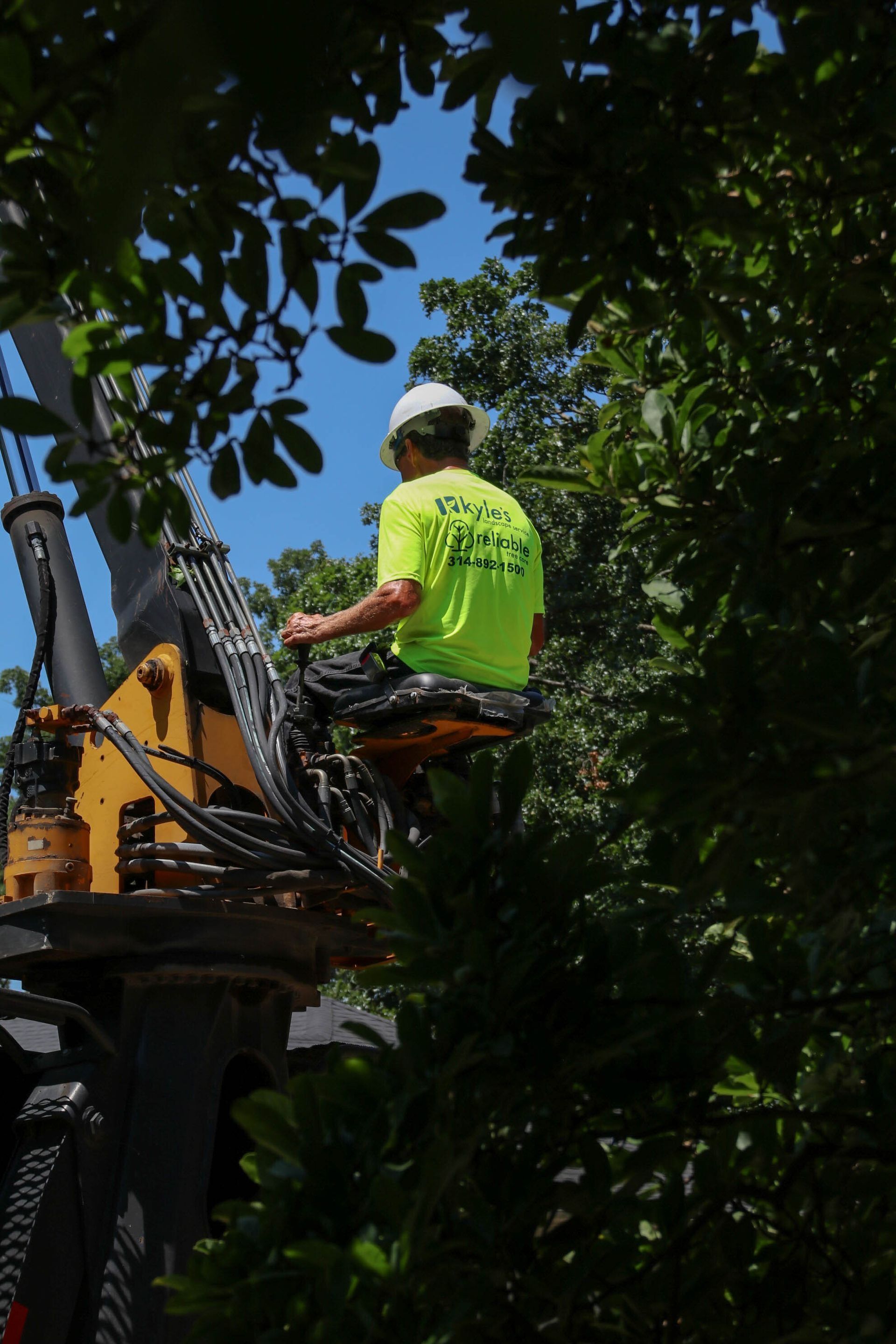 Man in a lift bucket, trimming tree branches on a sunny day.