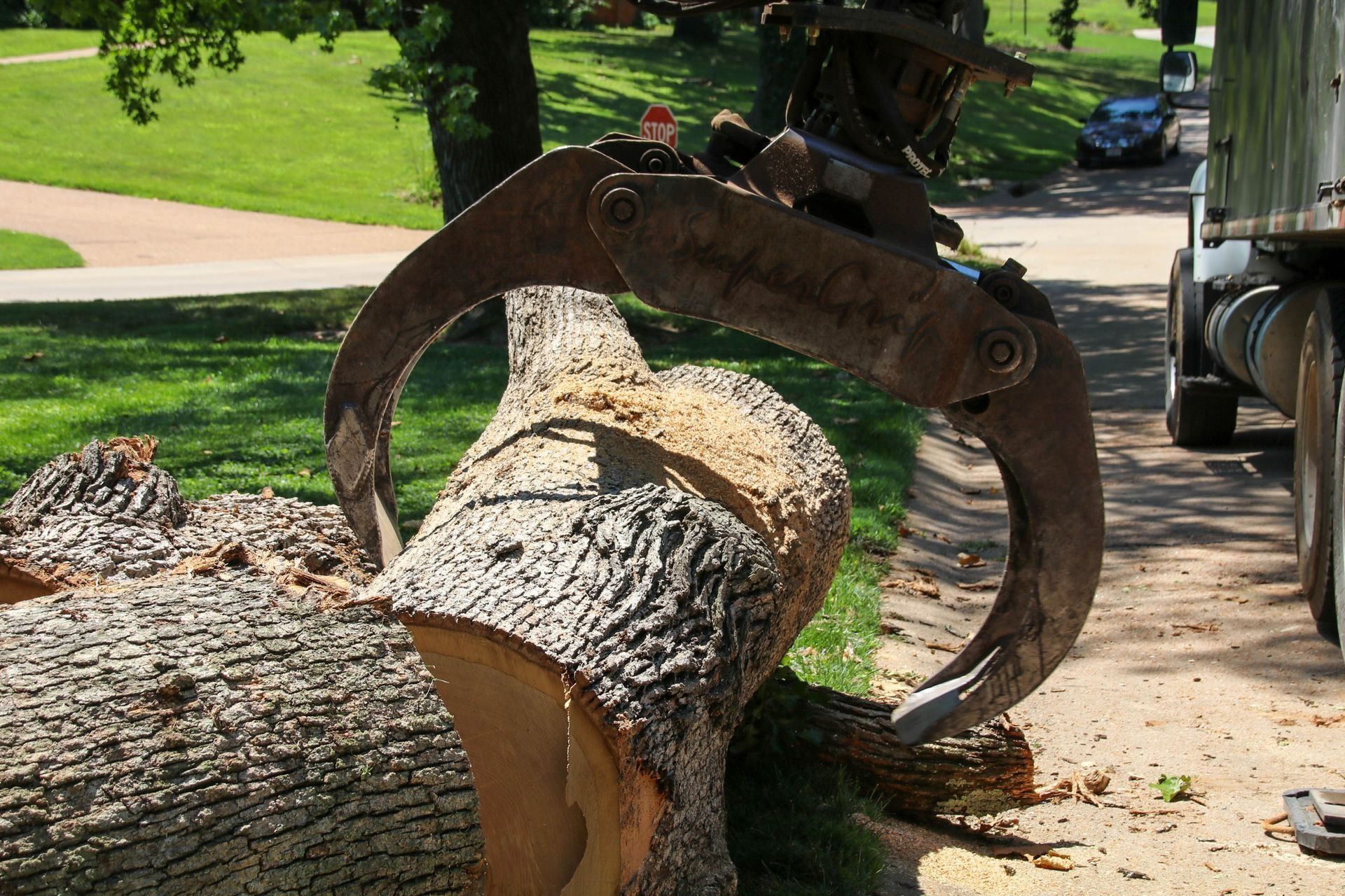 A log being gripped by the metal claws of a tree-cutting machine on a grassy area.