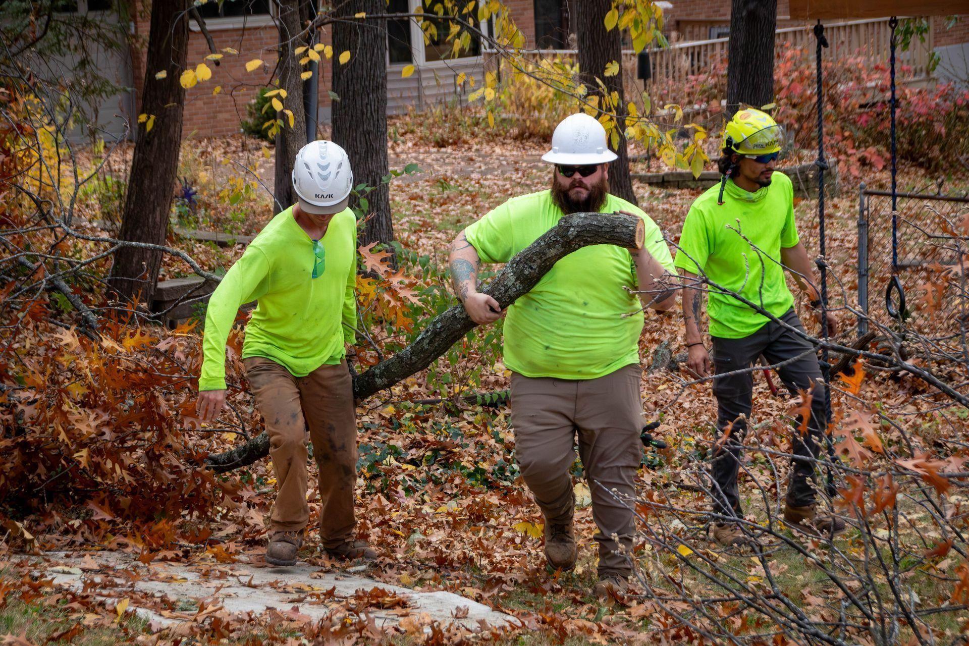 Three people in neon shirts and hard hats carry a tree branch through a wooded area covered in fallen leaves.