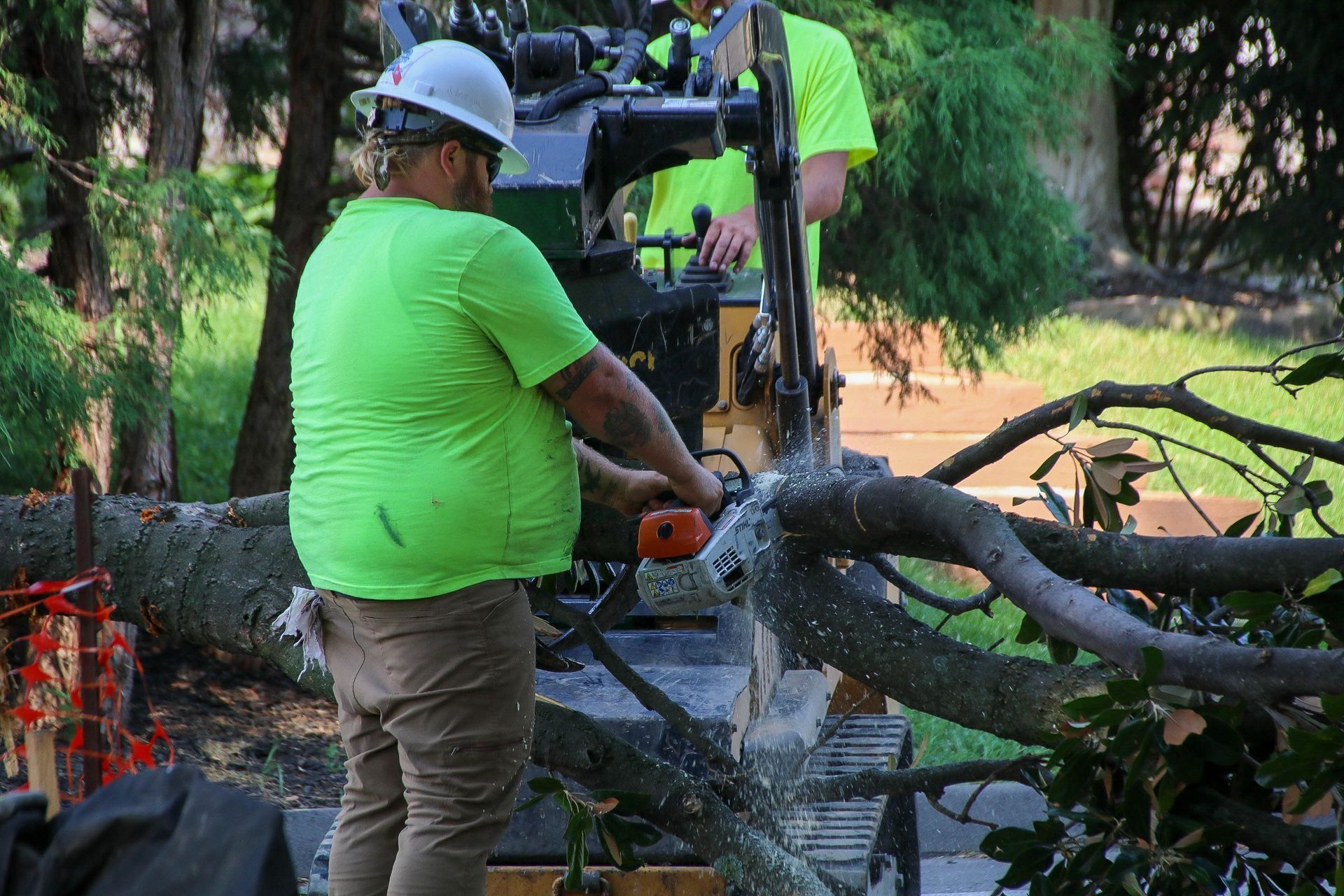 Two workers cutting a fallen tree with a chainsaw, wearing safety vests and hard hats.