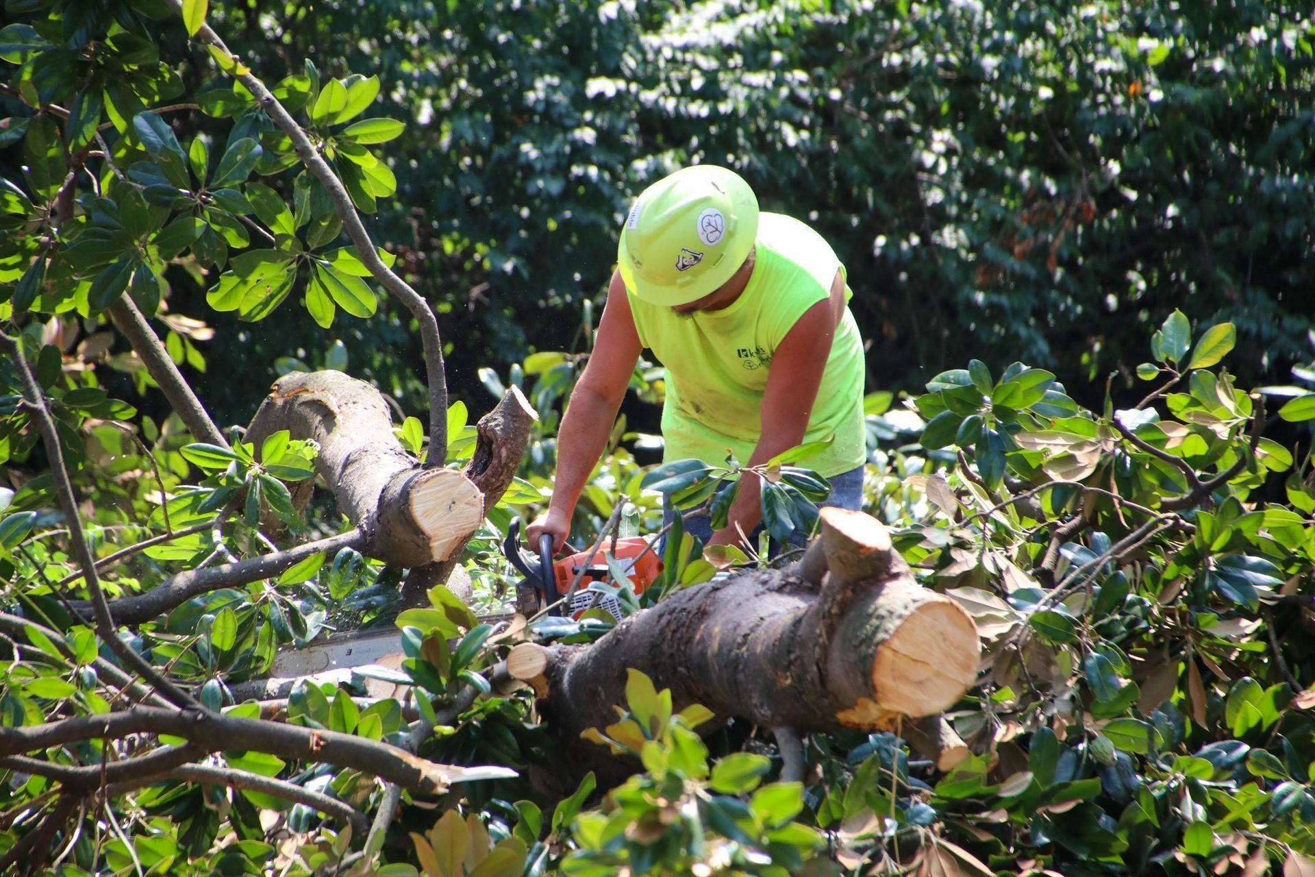 Arborist in neon shirt and hardhat using chainsaw to cut tree branches.