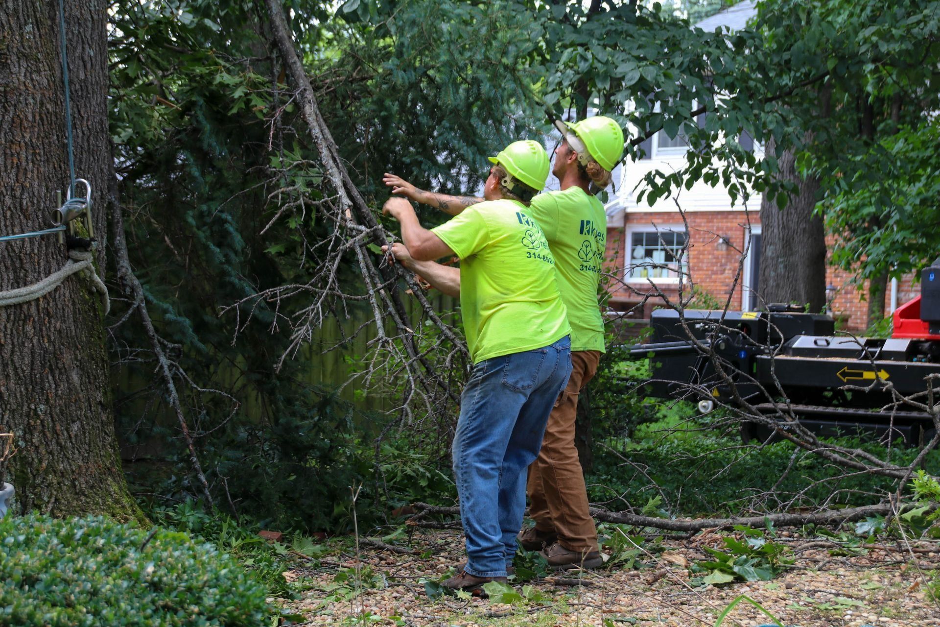 Two workers in lime green shirts and hard hats trimming a tree outdoors.