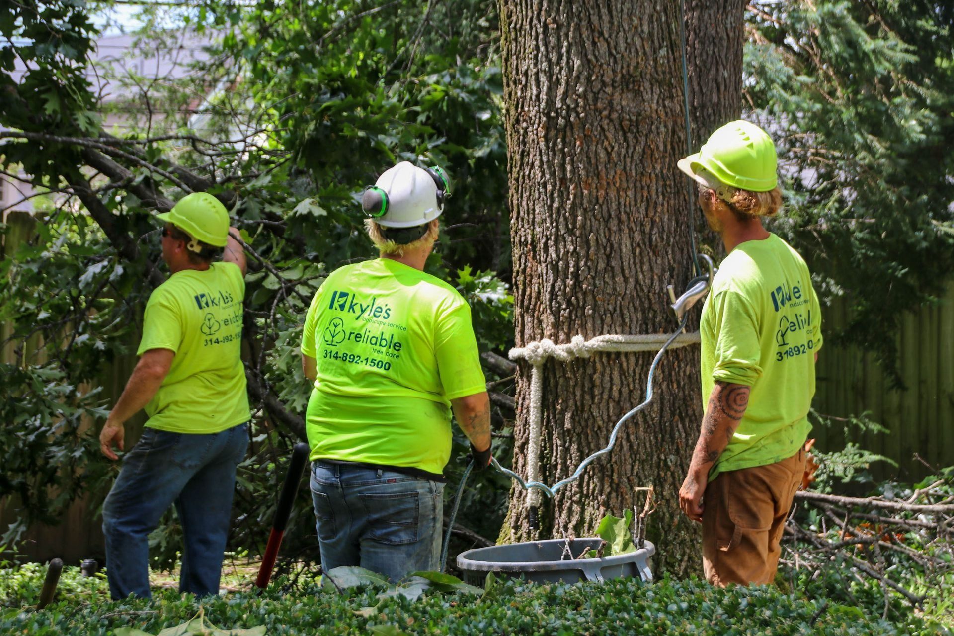 Three people in lime green shirts and hard hats trimming a tree in a residential area.