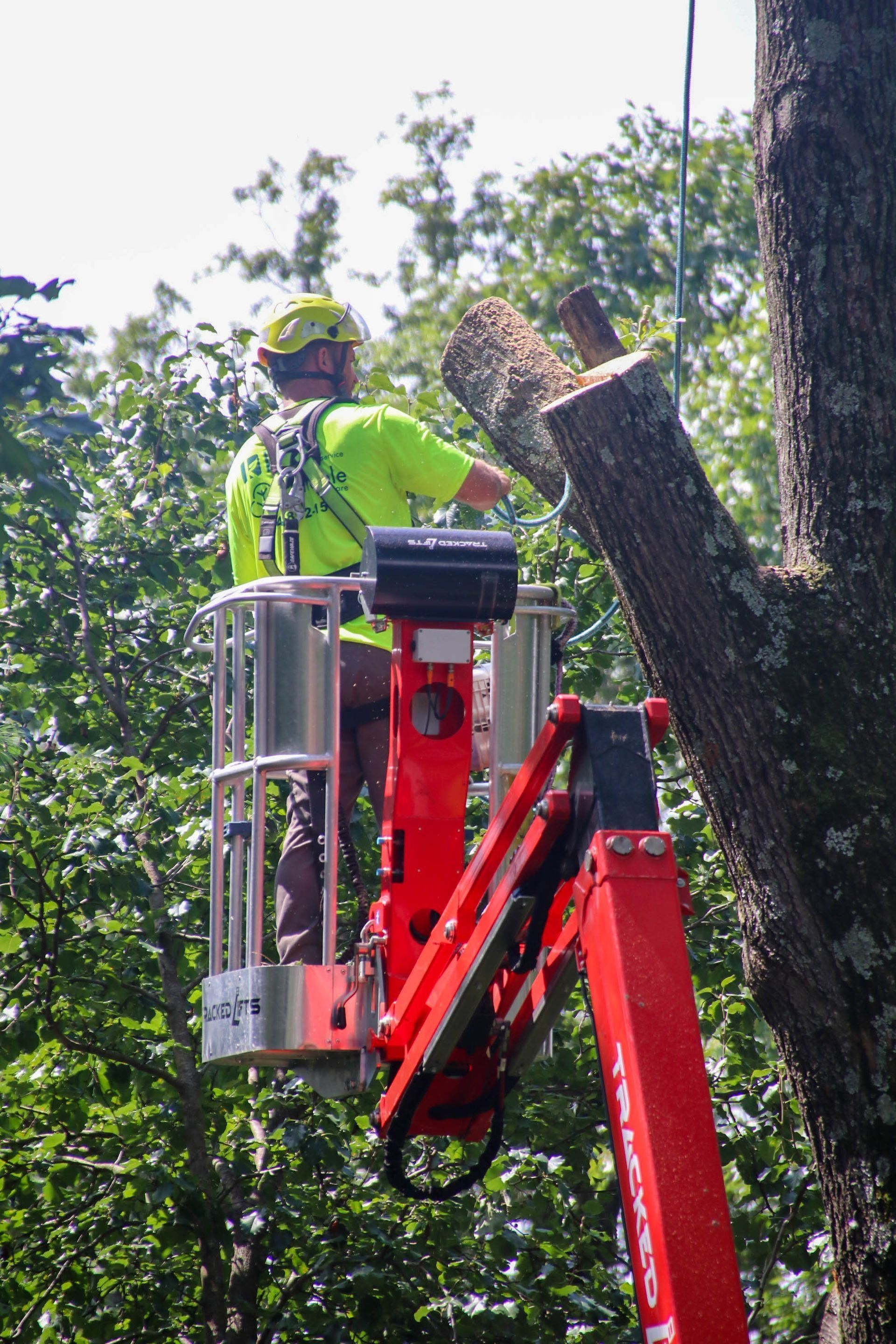 Arborist in a lift trimming a tree. Bright green shirt, safety harness, and helmet. Red lift arm.