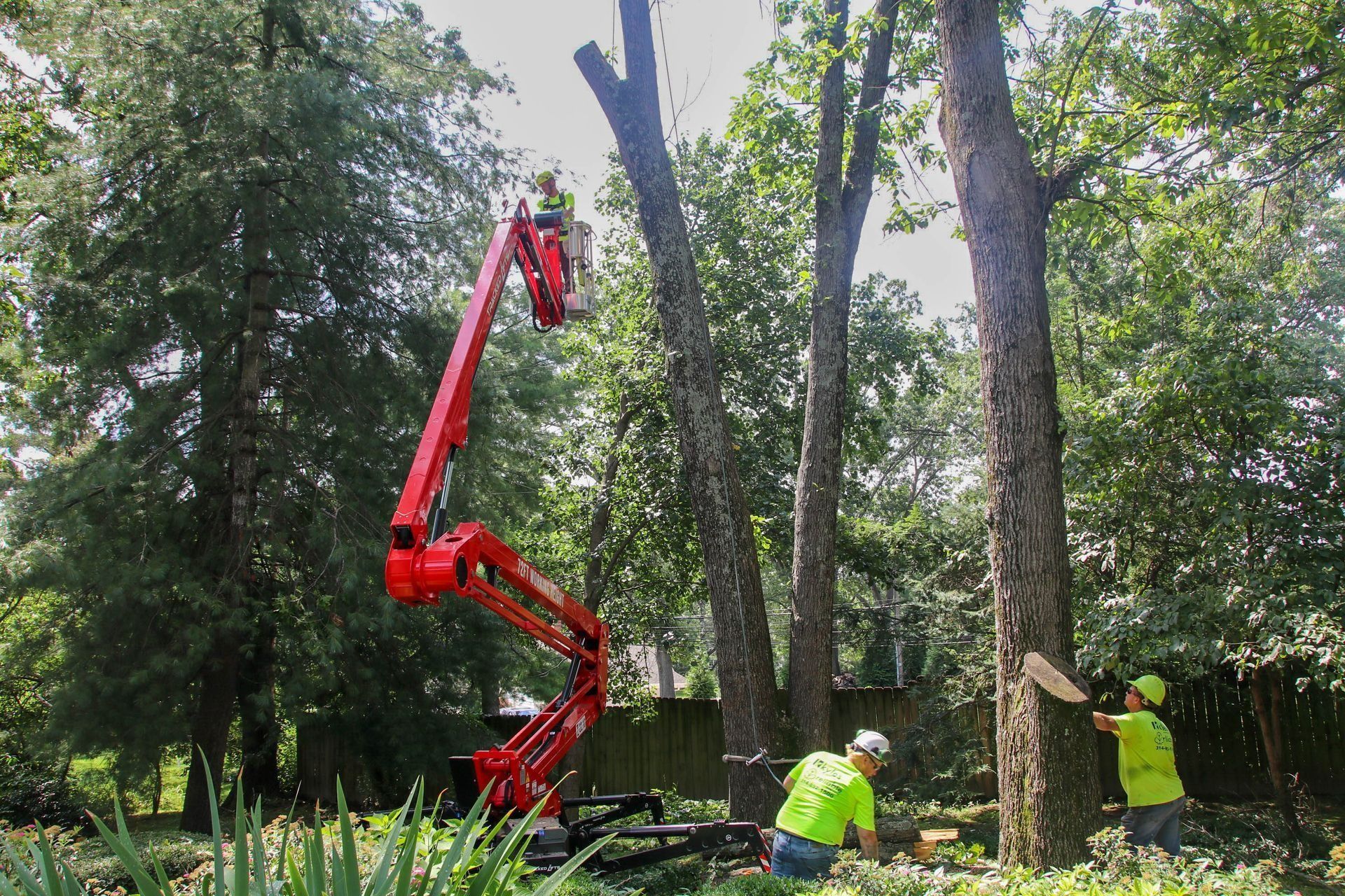 Tree service workers use a lift to trim a tree, one sawing, other on ground, wearing yellow vests.