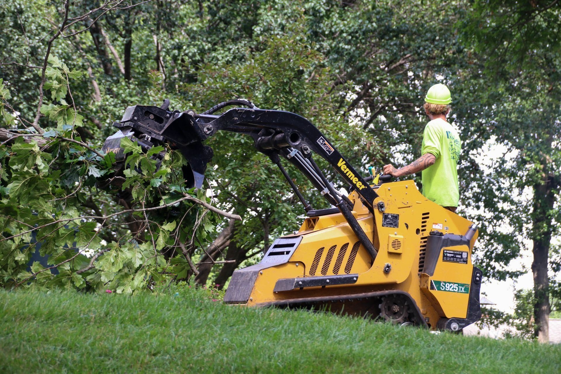 Yellow skid steer with cutting attachment trimming branches; operator wearing a lime green shirt.